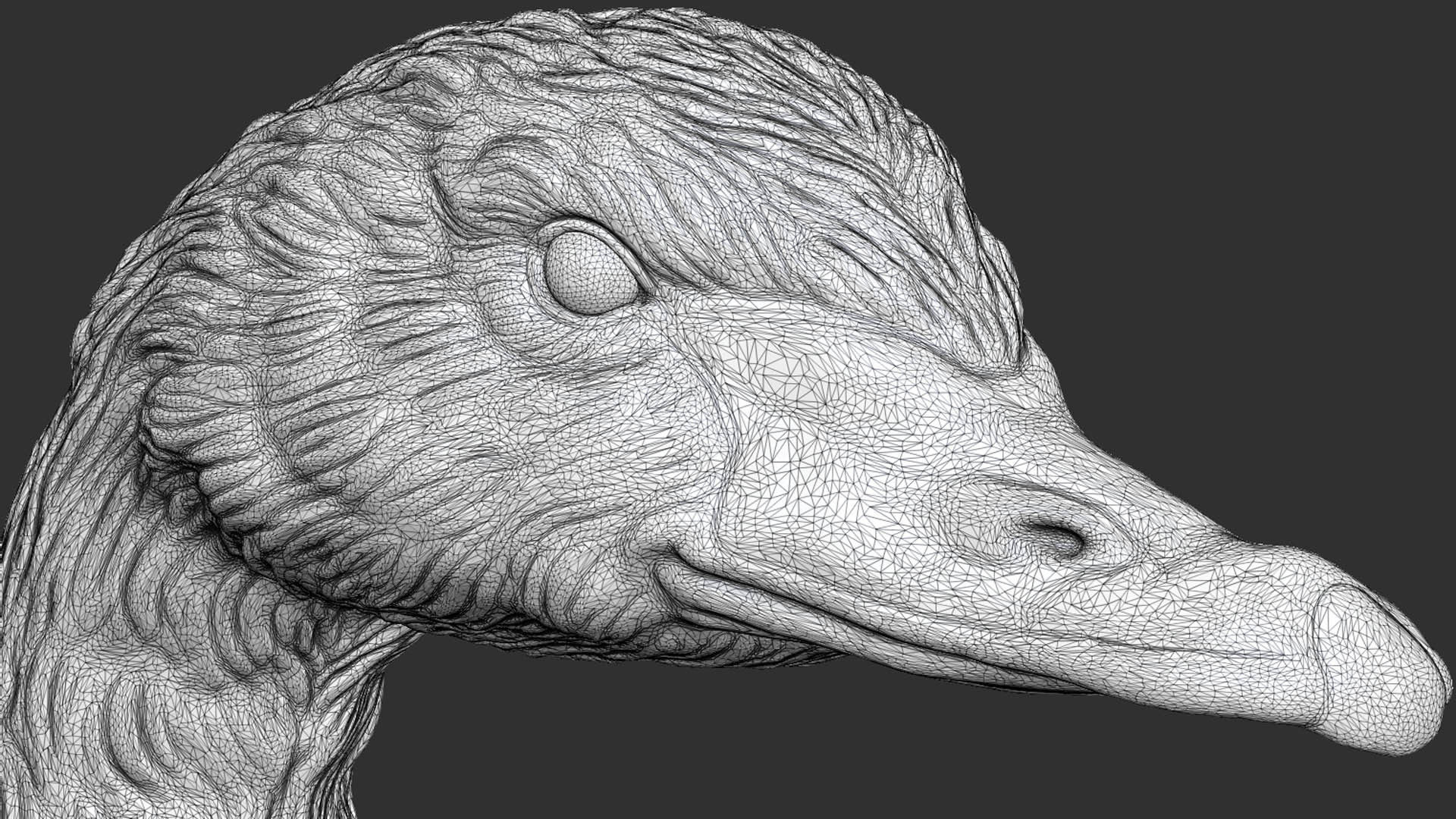 Black swan 3D print model_18