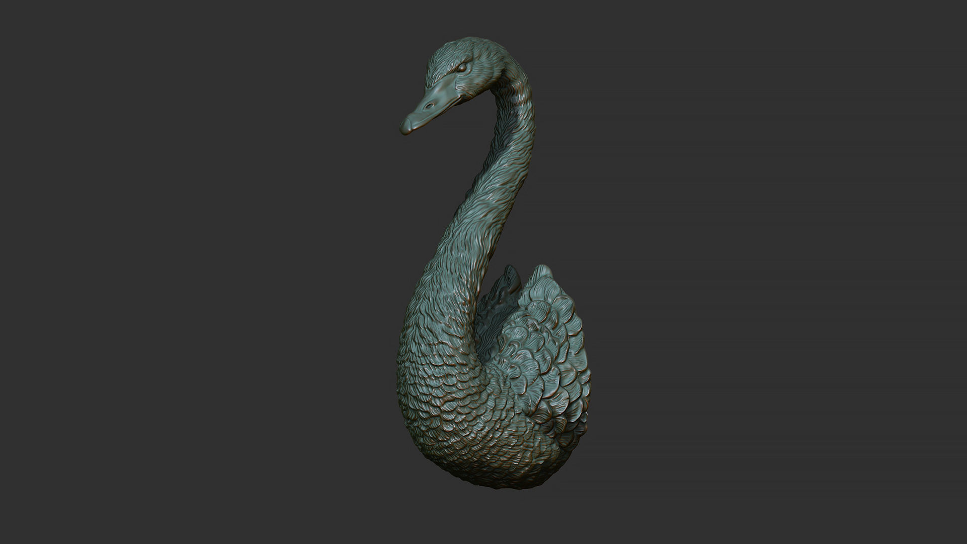 Black swan 3D print model_6