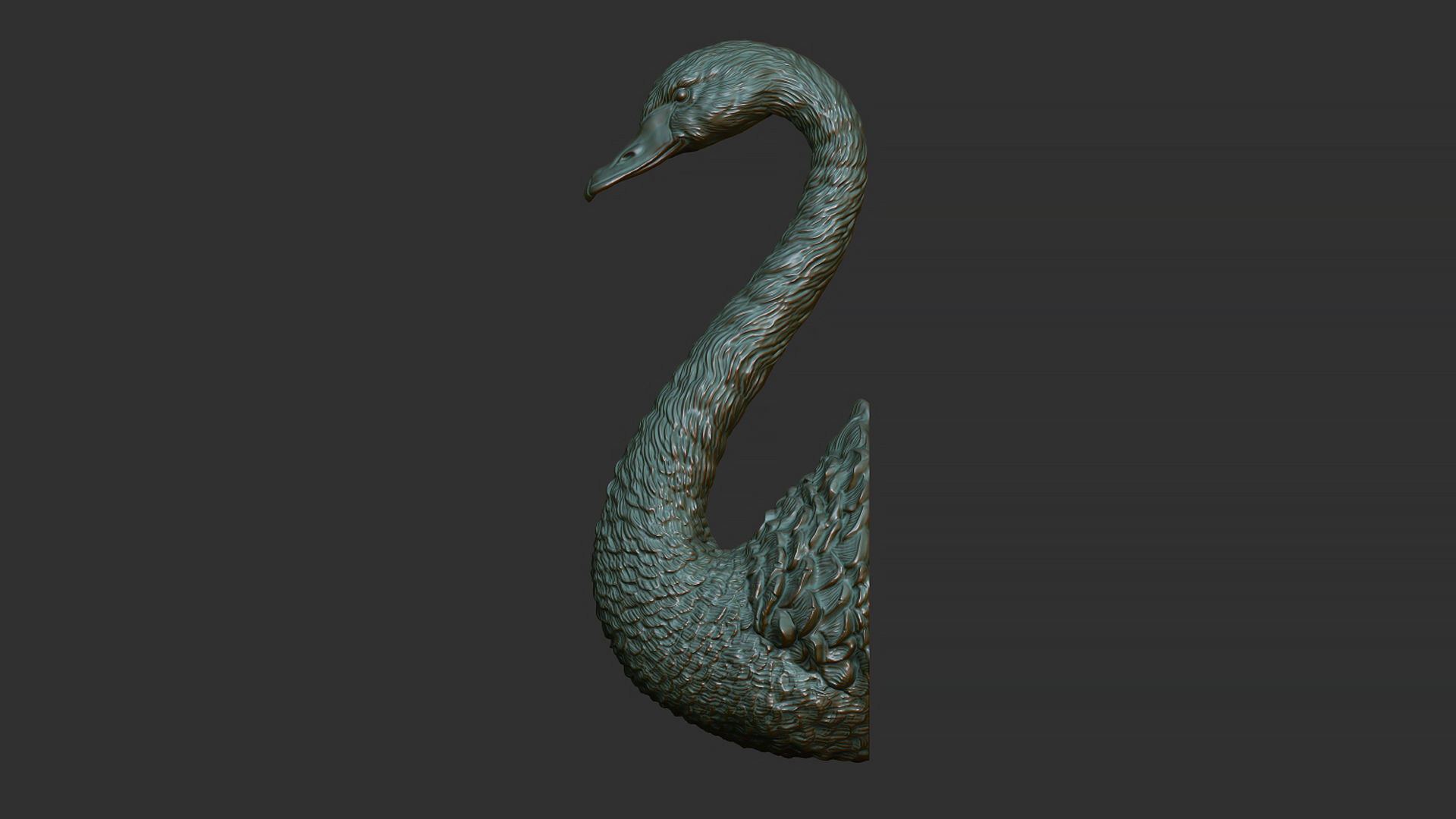 Black swan 3D print model_4