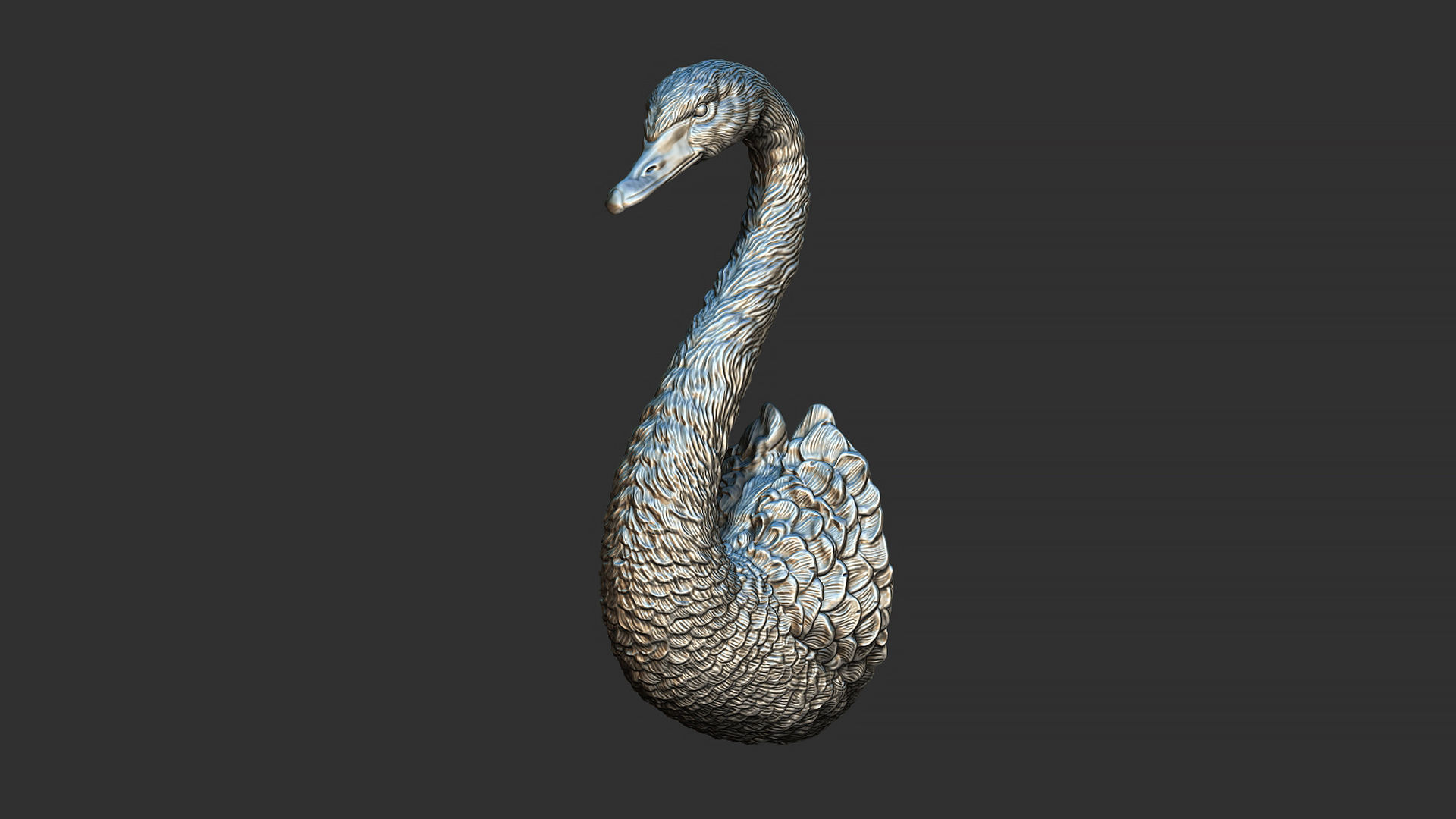 Black swan 3D print model_9