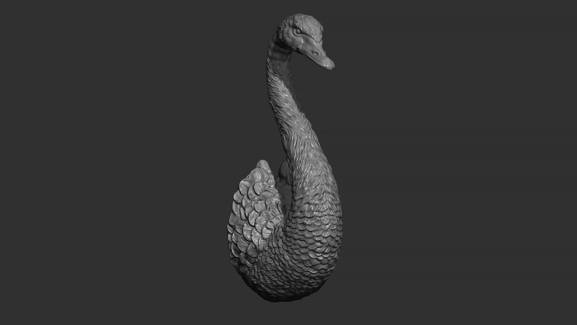 Black swan 3D print model_15