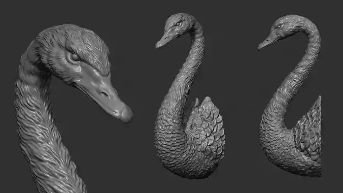 Black swan 3D print model
