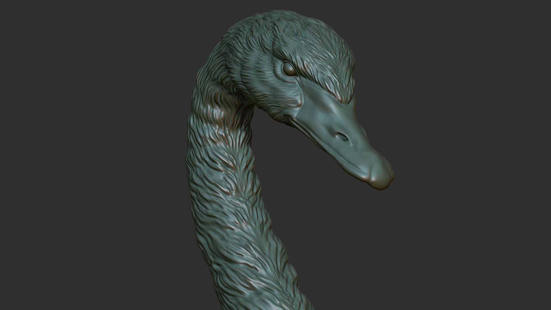 Black swan 3D print model_3
