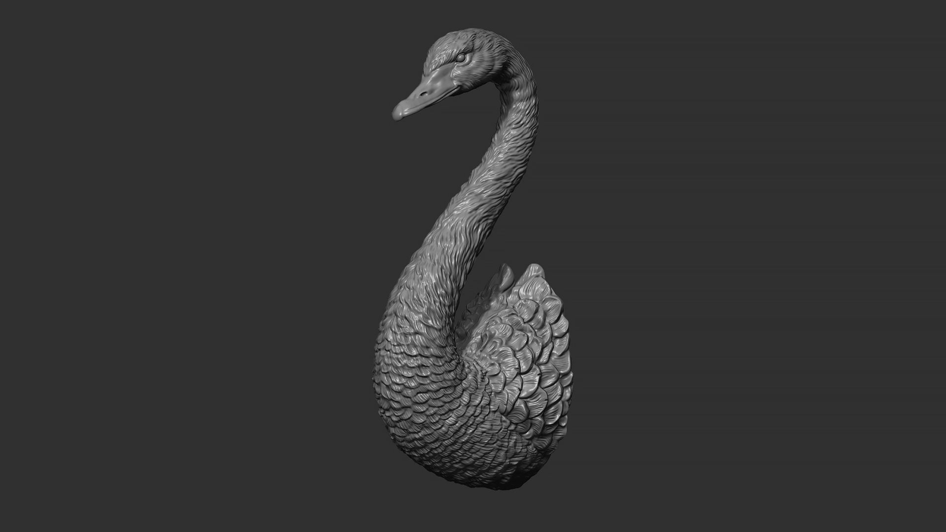Black swan 3D print model_16