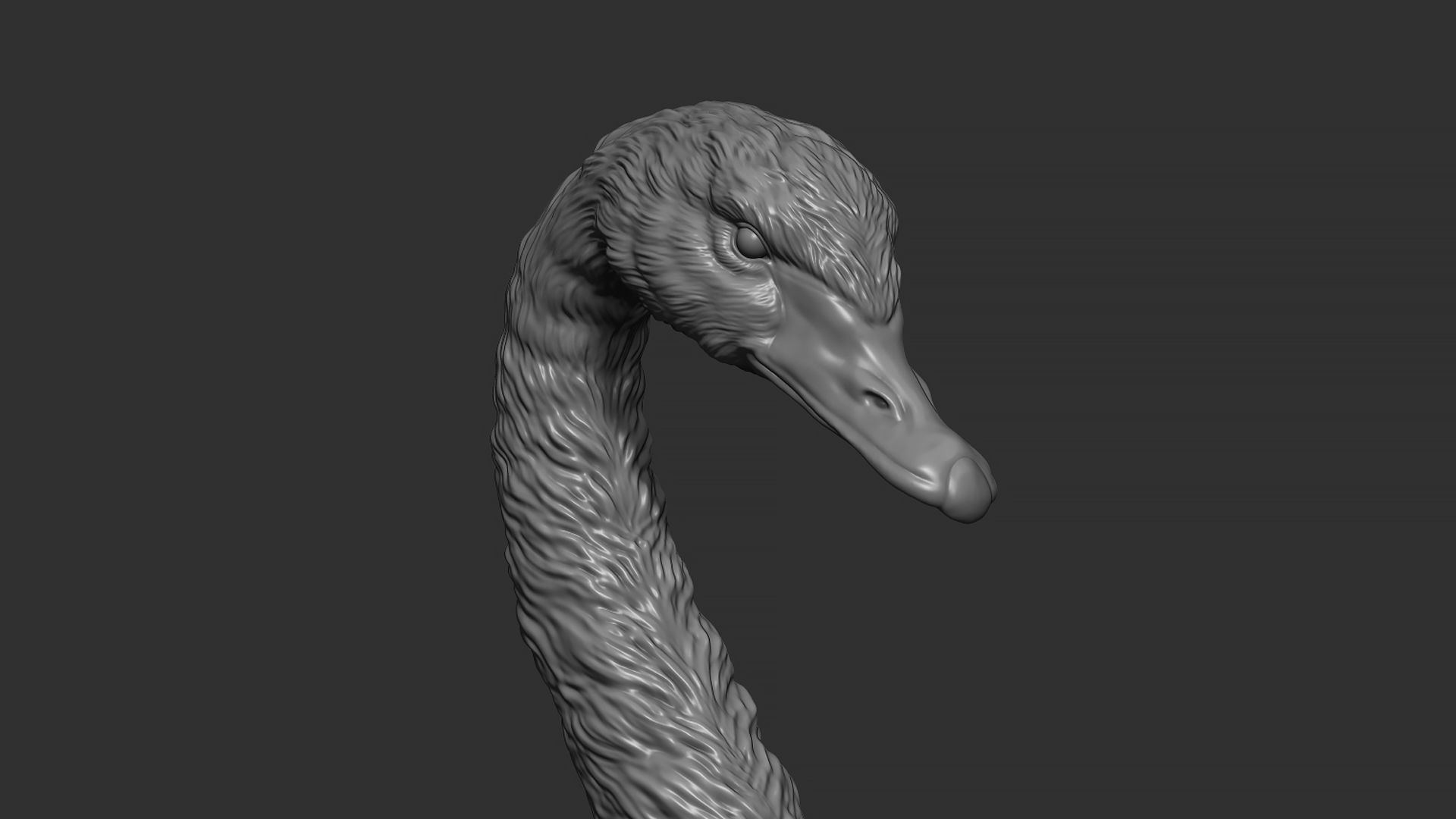 Black swan 3D print model_17
