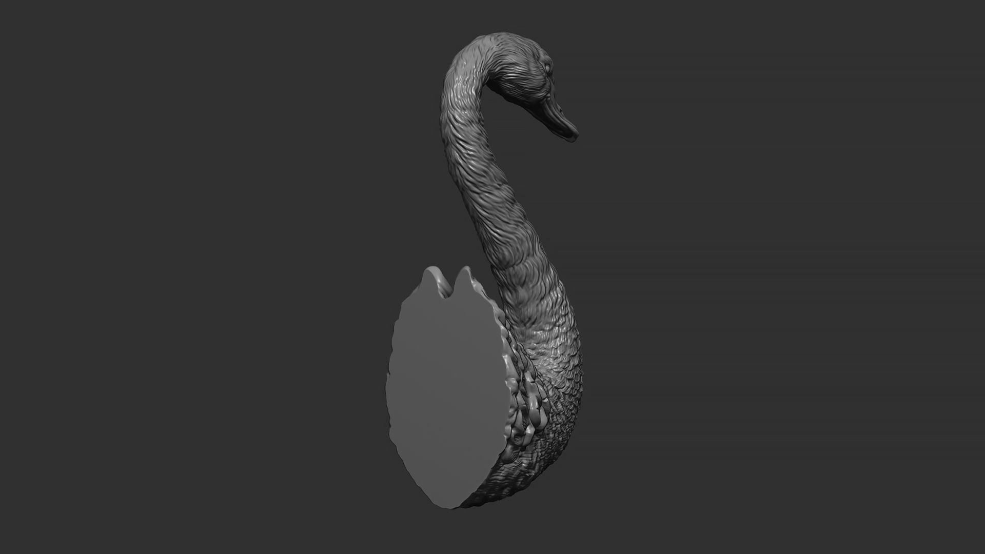 Black swan 3D print model_13