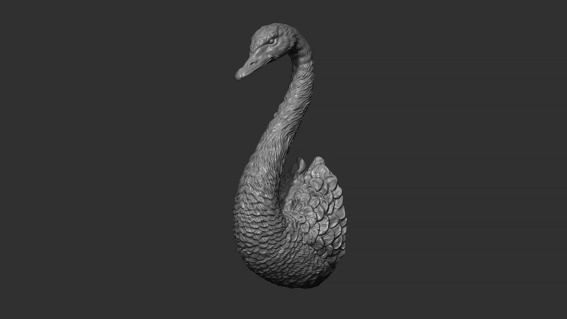 Black swan 3D print model_12