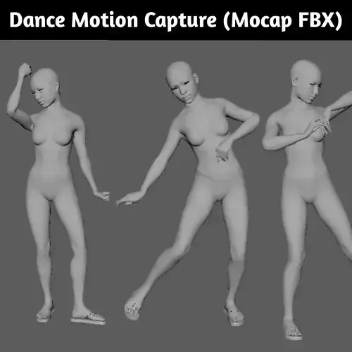 Female Dance Motion Capture FBX File