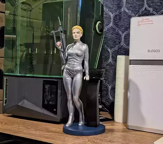 Seven of Nine Star Trek Voyager 3D print model