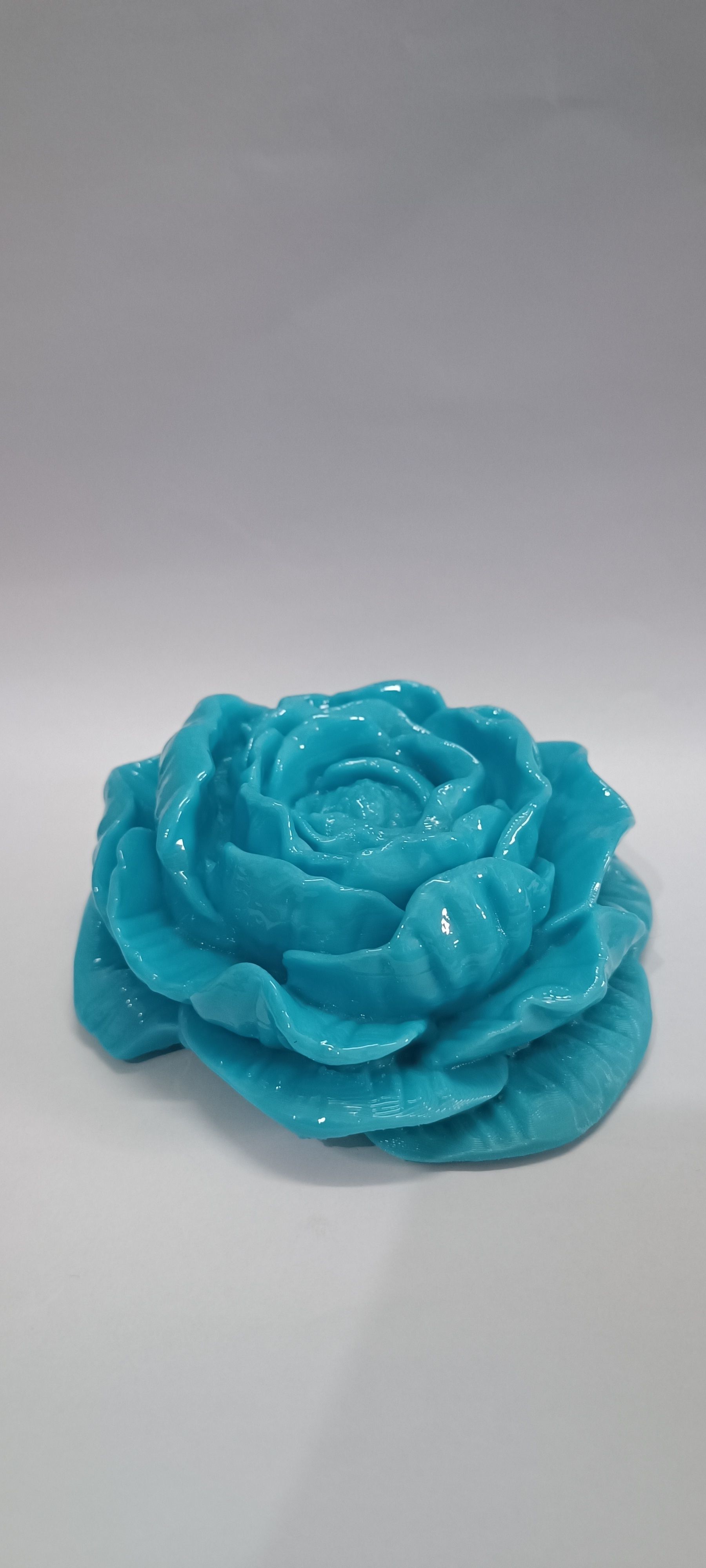 flower 1 3D print model_7