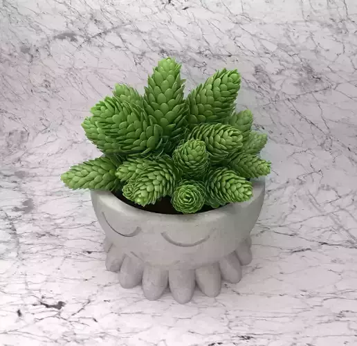 Smile pots 3D print model
