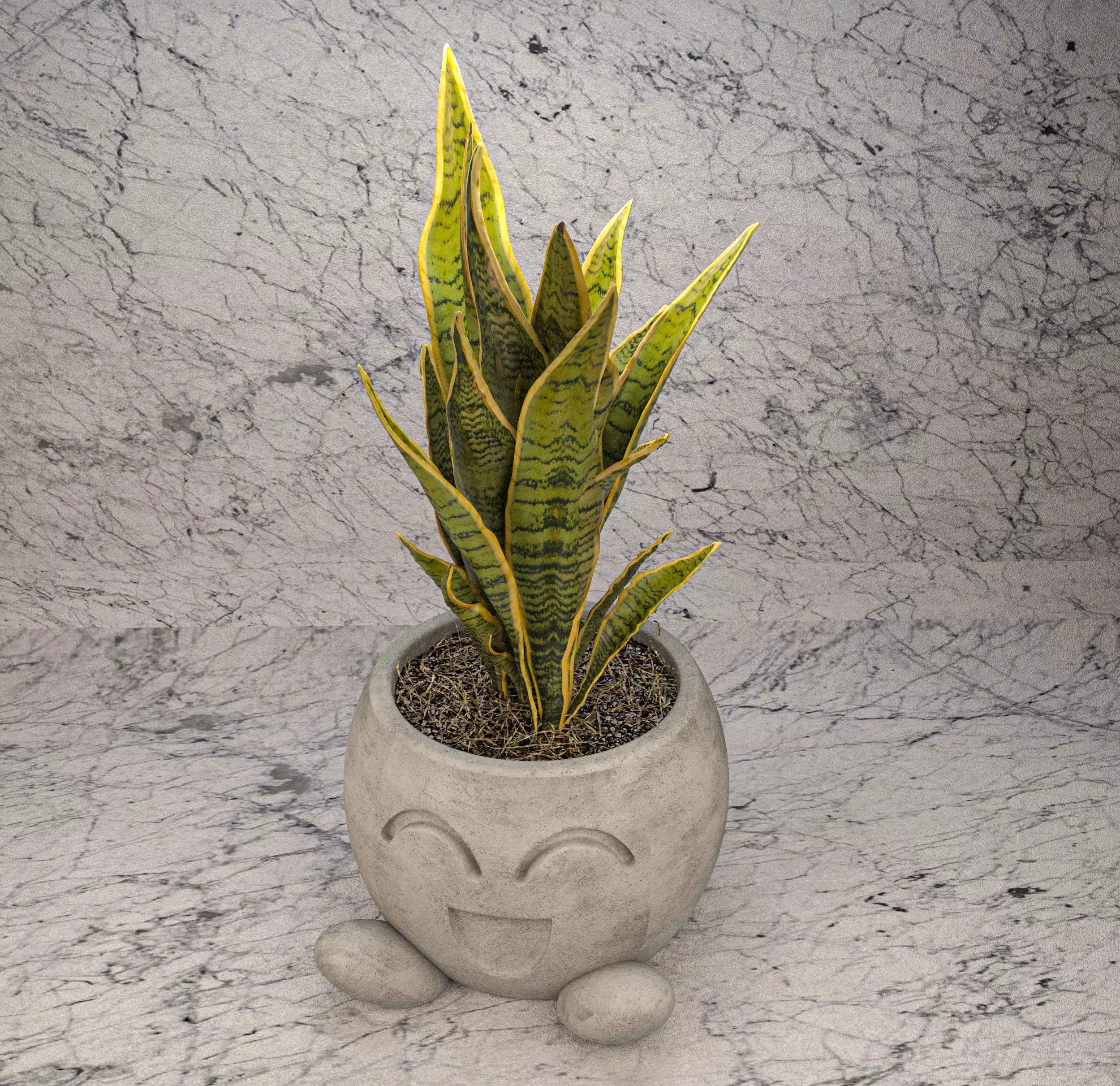 Smiling pot 3D print model