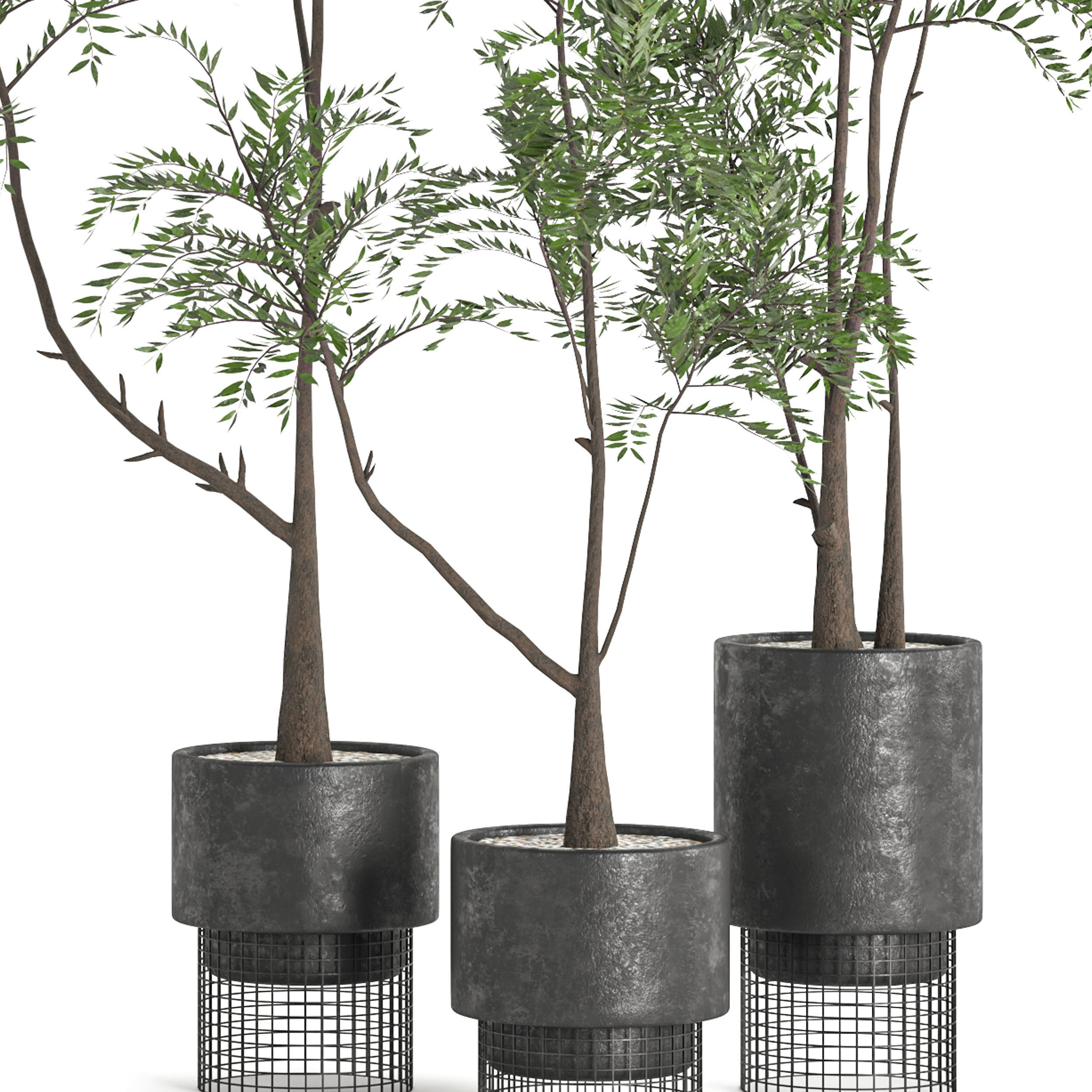  Collaction Indoor plant vol 48 3D model_4