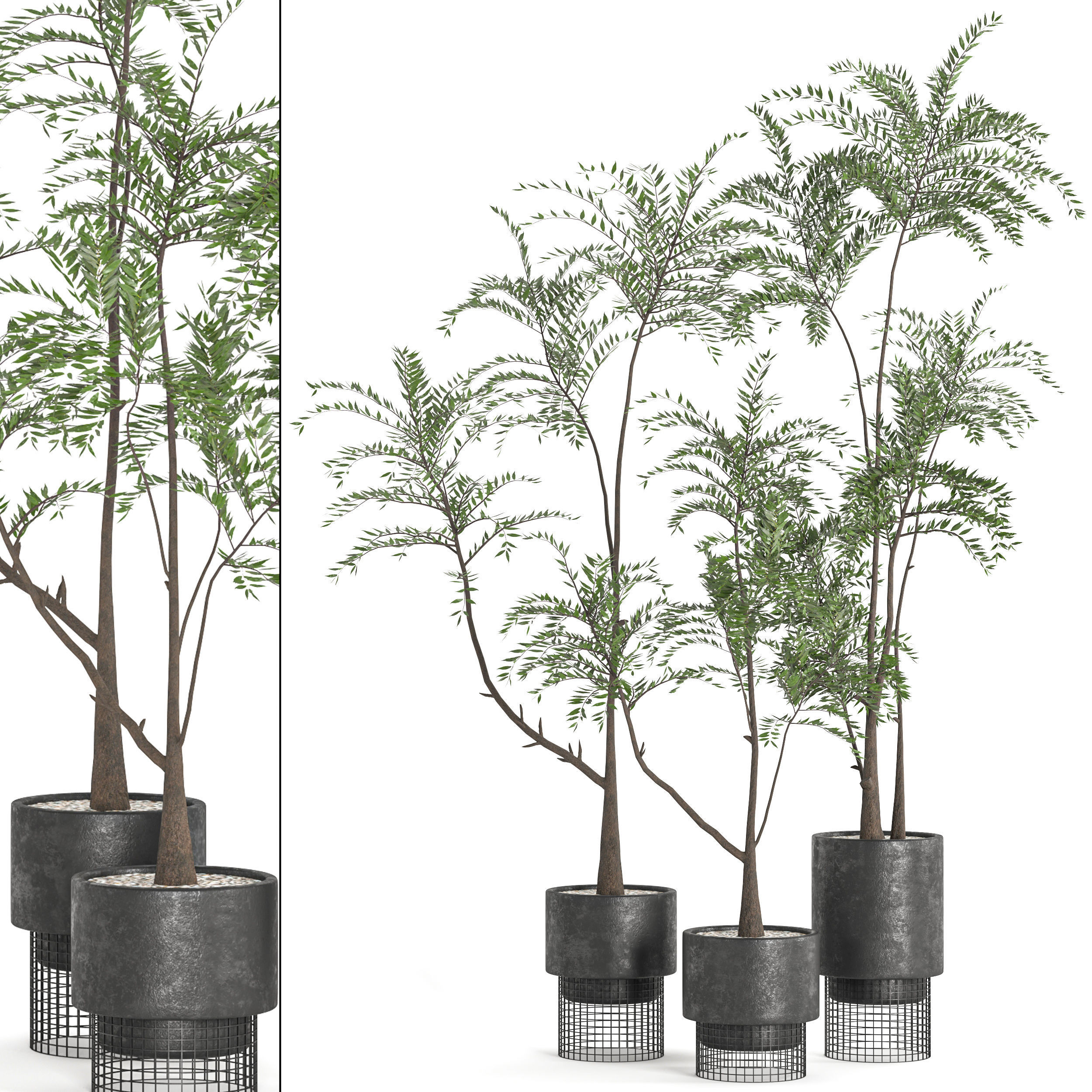  Collaction Indoor plant vol 48 3D model_2