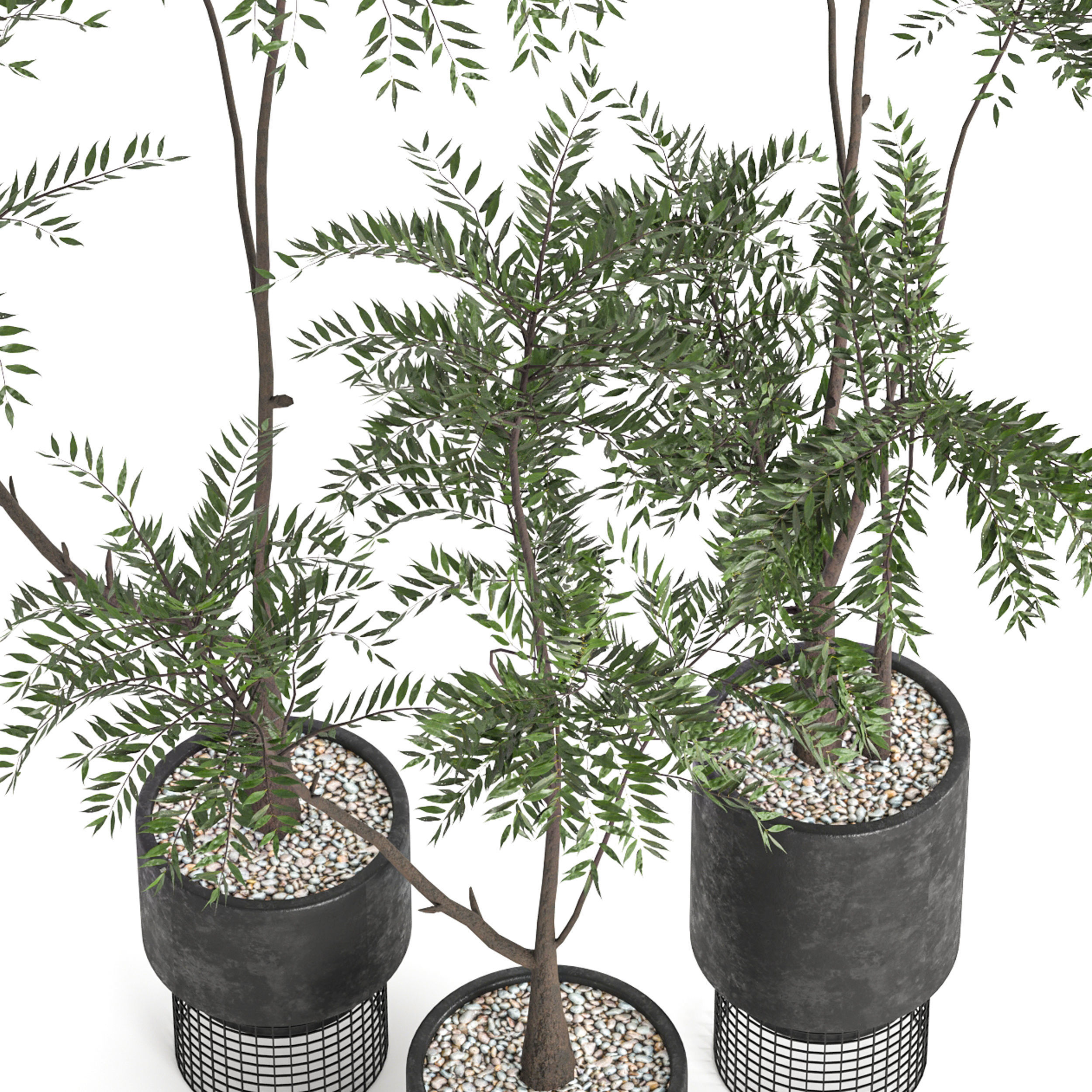  Collaction Indoor plant vol 48 3D model_5