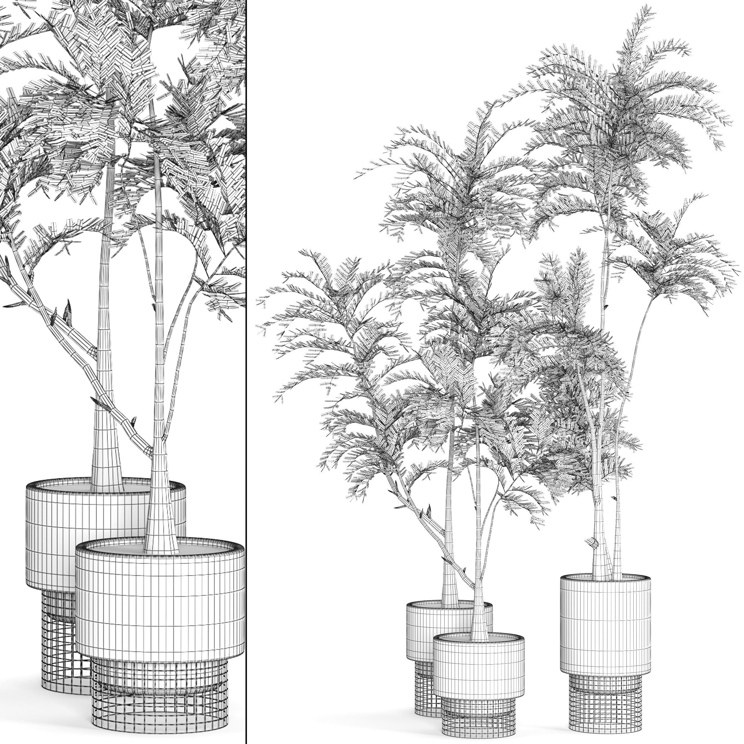  Collaction Indoor plant vol 48 3D model_6
