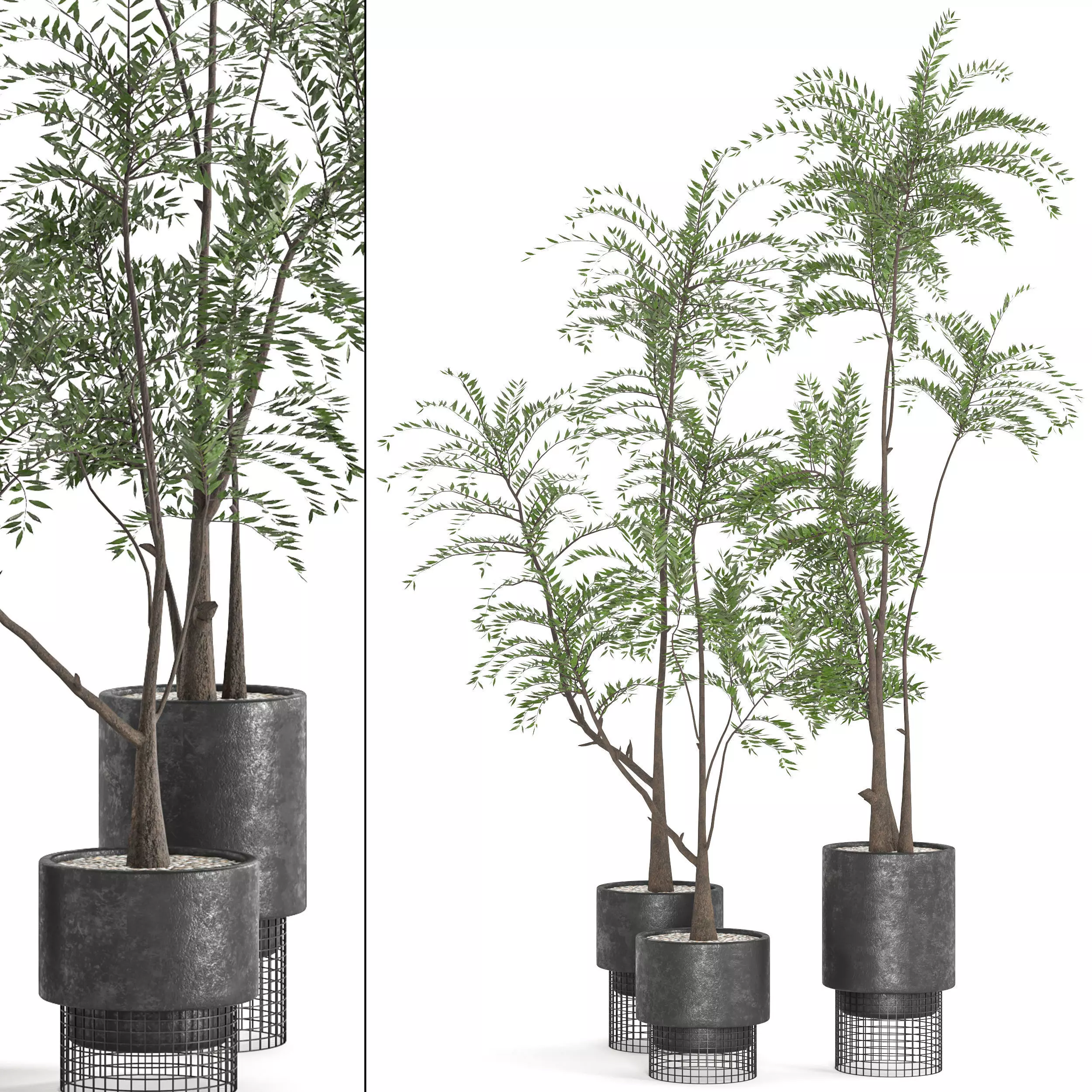  Collaction Indoor plant vol 48 3D model_0