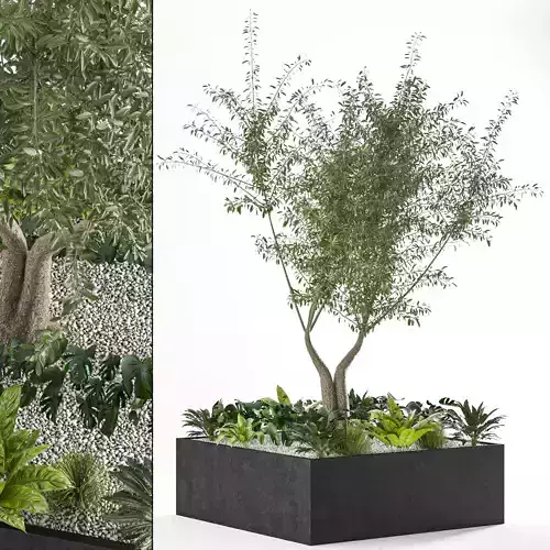 Collaction Indoor plant vol 52