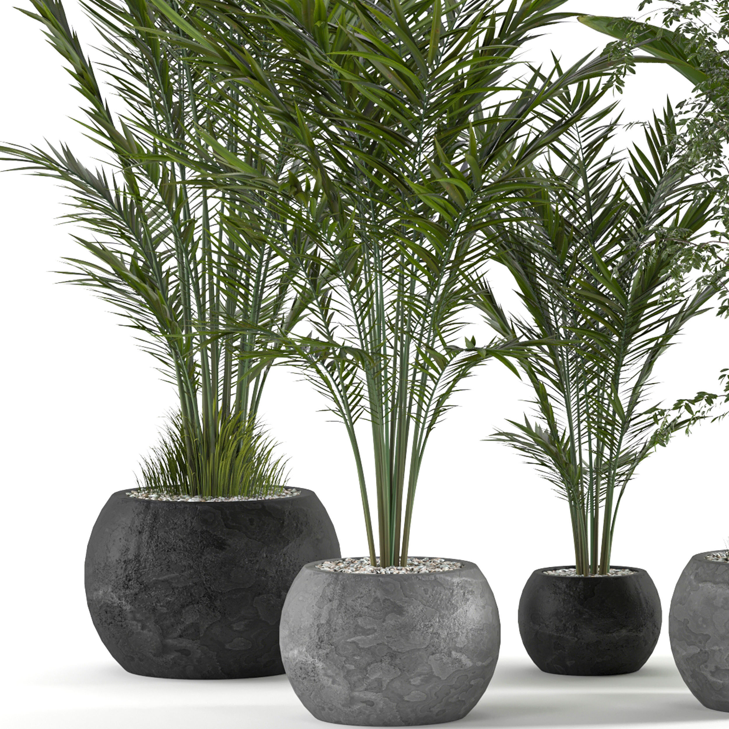 Collaction Indoor plant vol 53 3D model_4