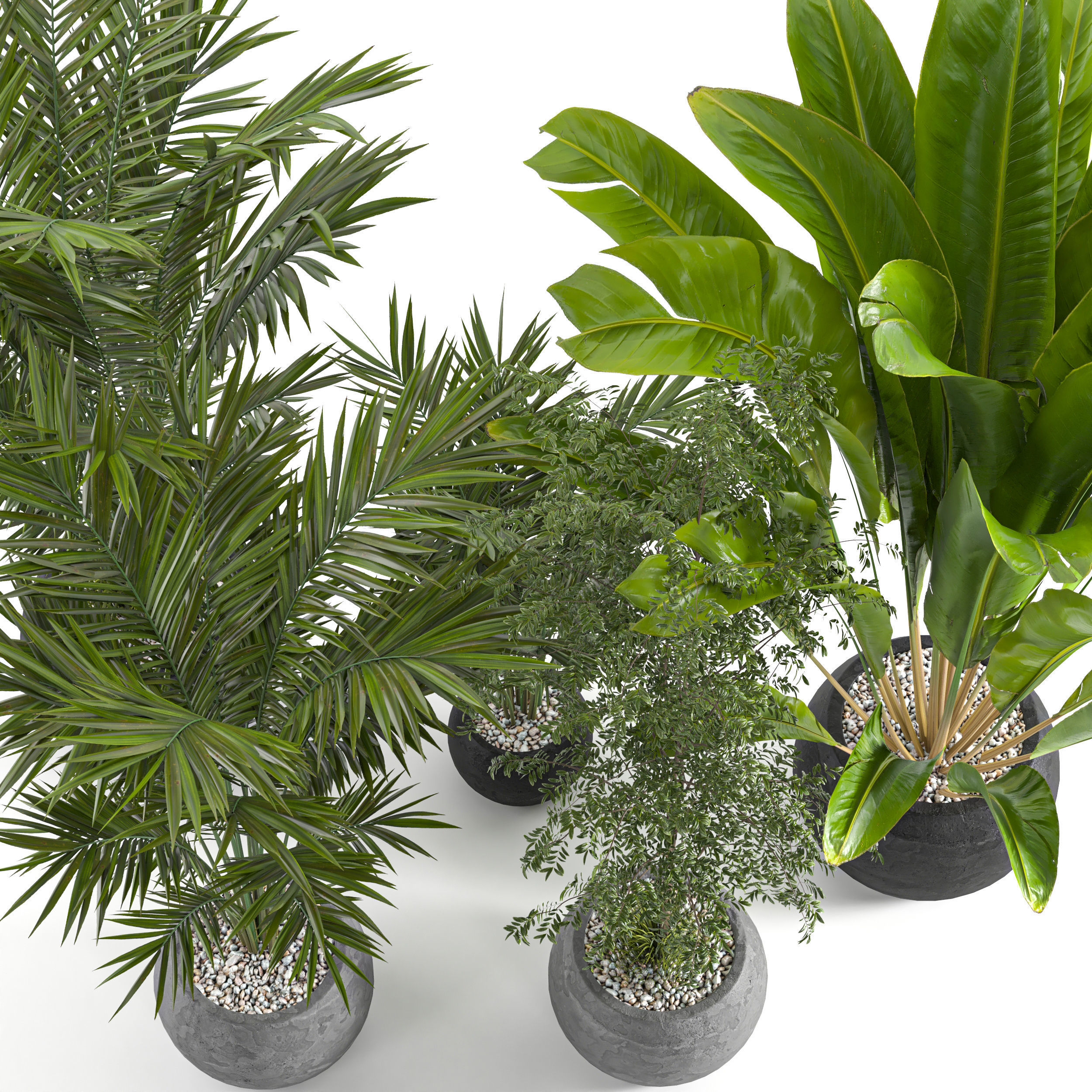 Collaction Indoor plant vol 53 3D model_3