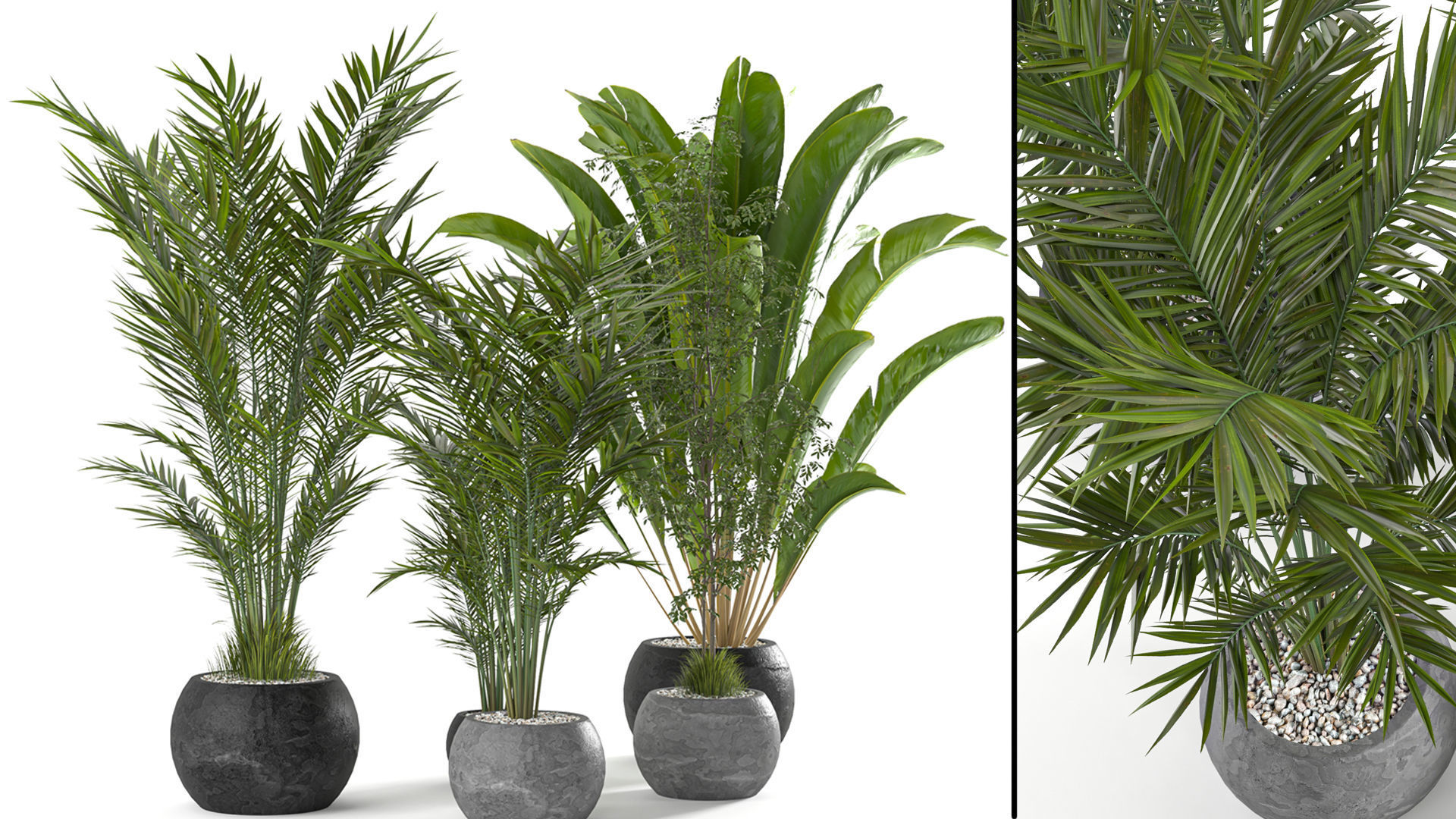 Collaction Indoor plant vol 53 3D model_10