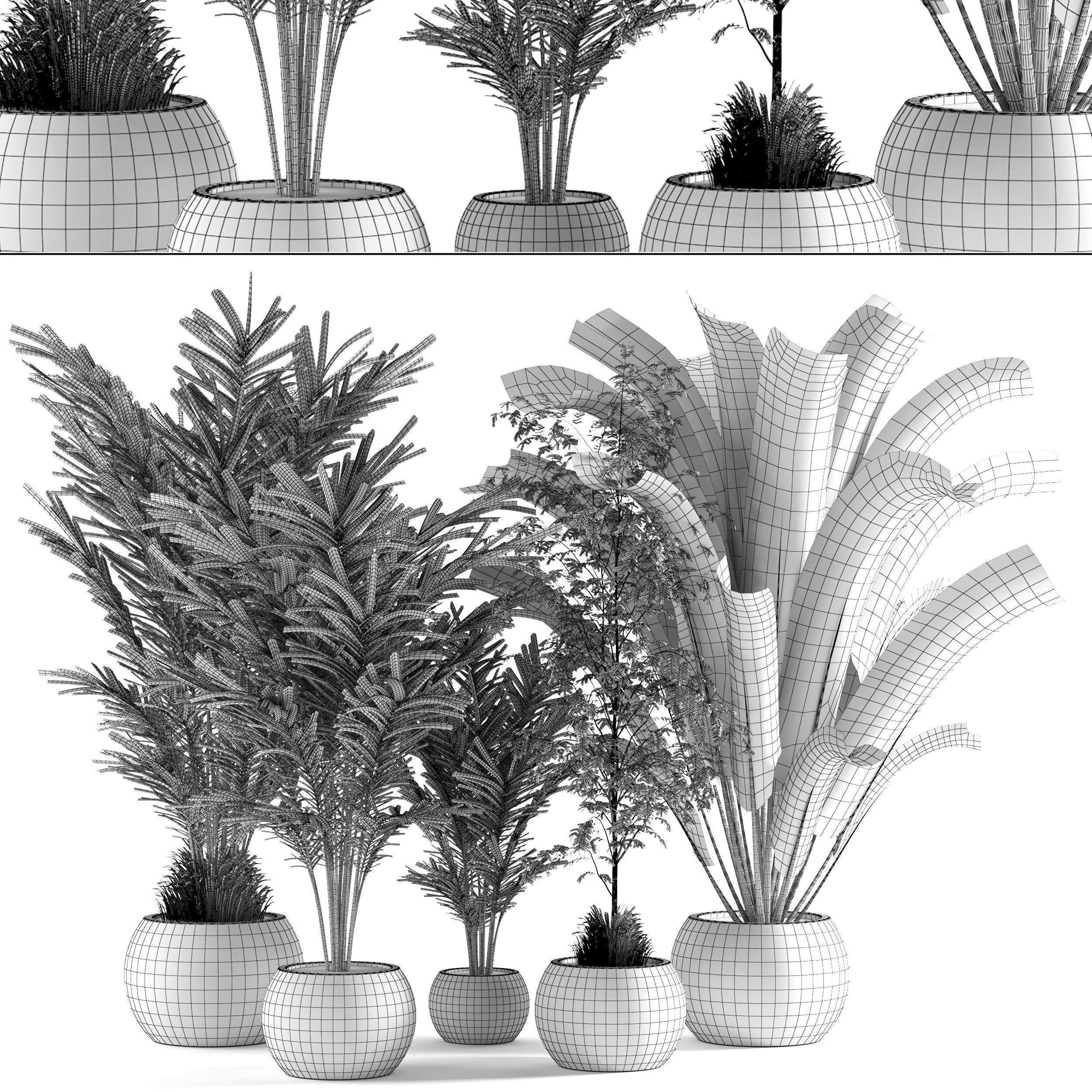 Collaction Indoor plant vol 53 3D model_6