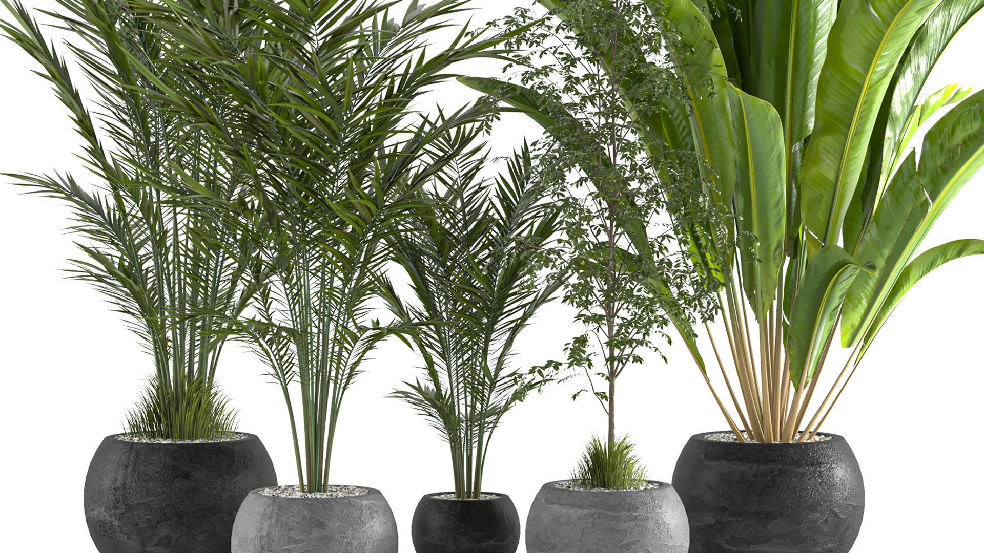 Collaction Indoor plant vol 53 3D model_11
