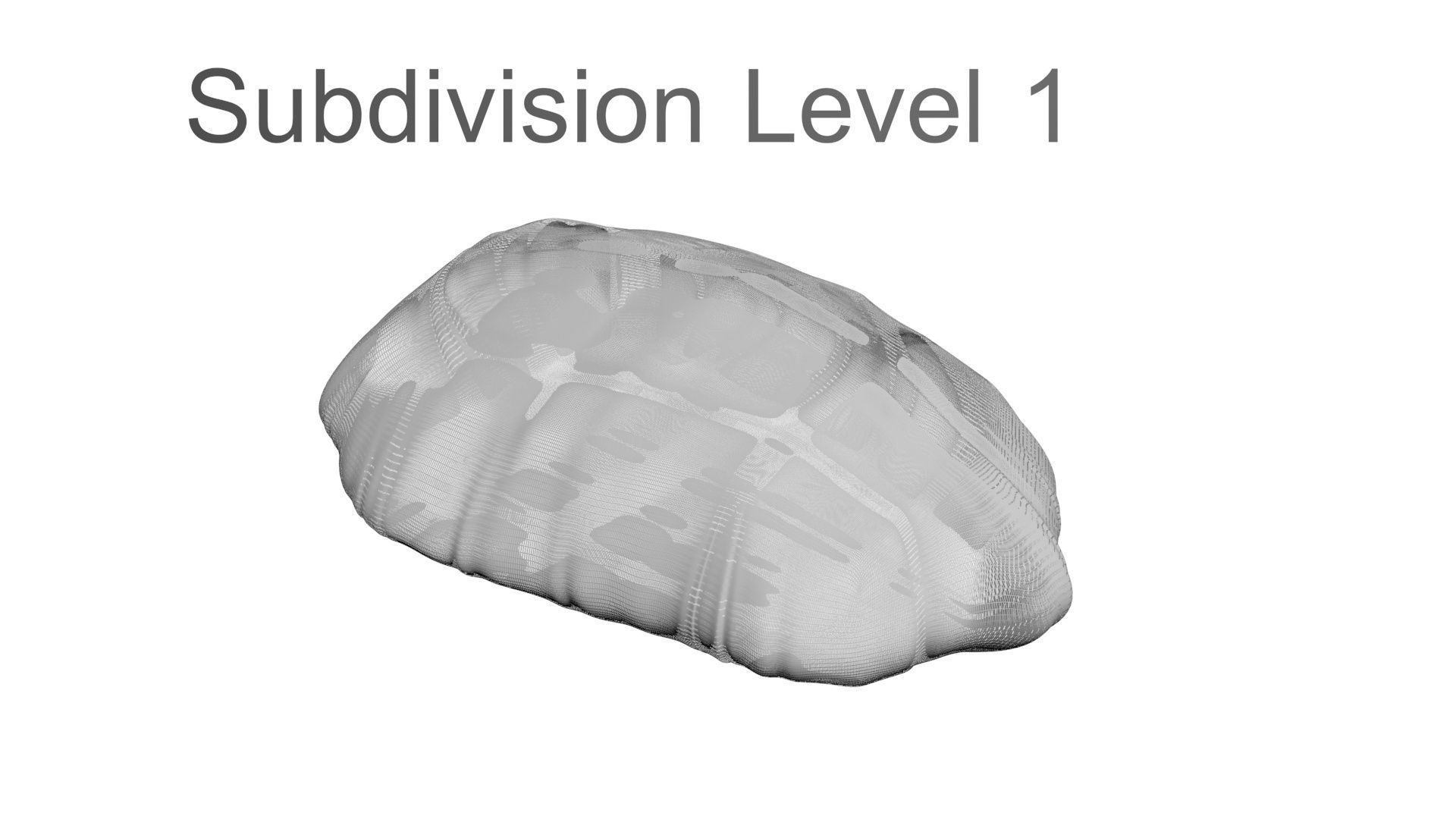 Chicken Chest 3D model_22