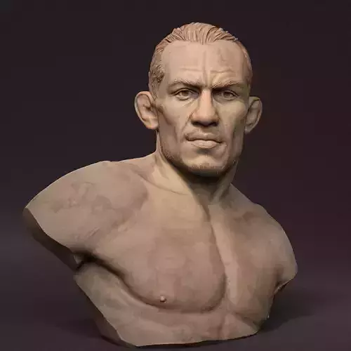 Tony Ferguson bust