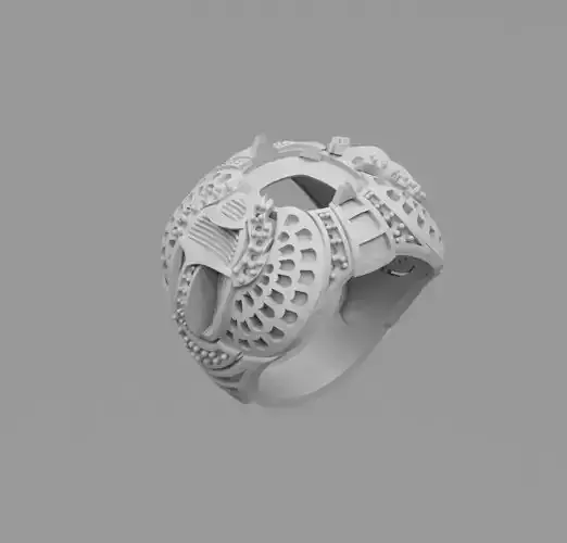 insect ring