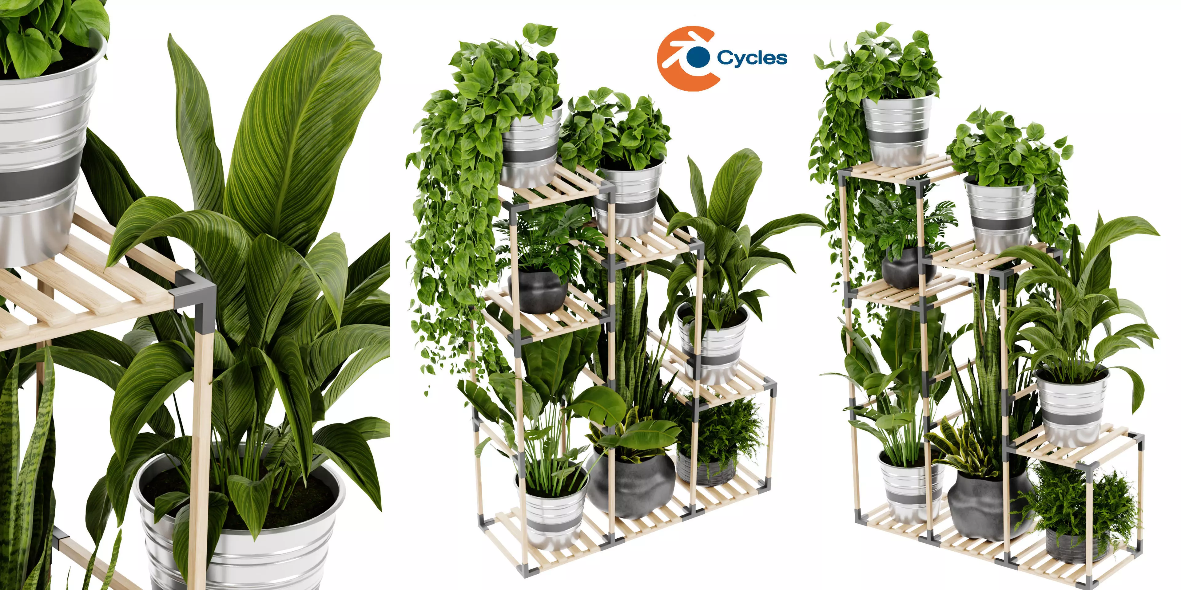 Collection plant vol 498 - blender model 3D model