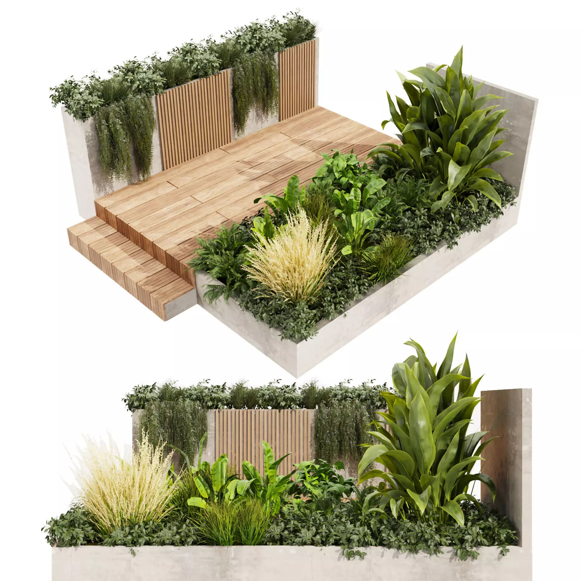 Collection plant vol 500 - Entrance - banana - wood - garden 3D model