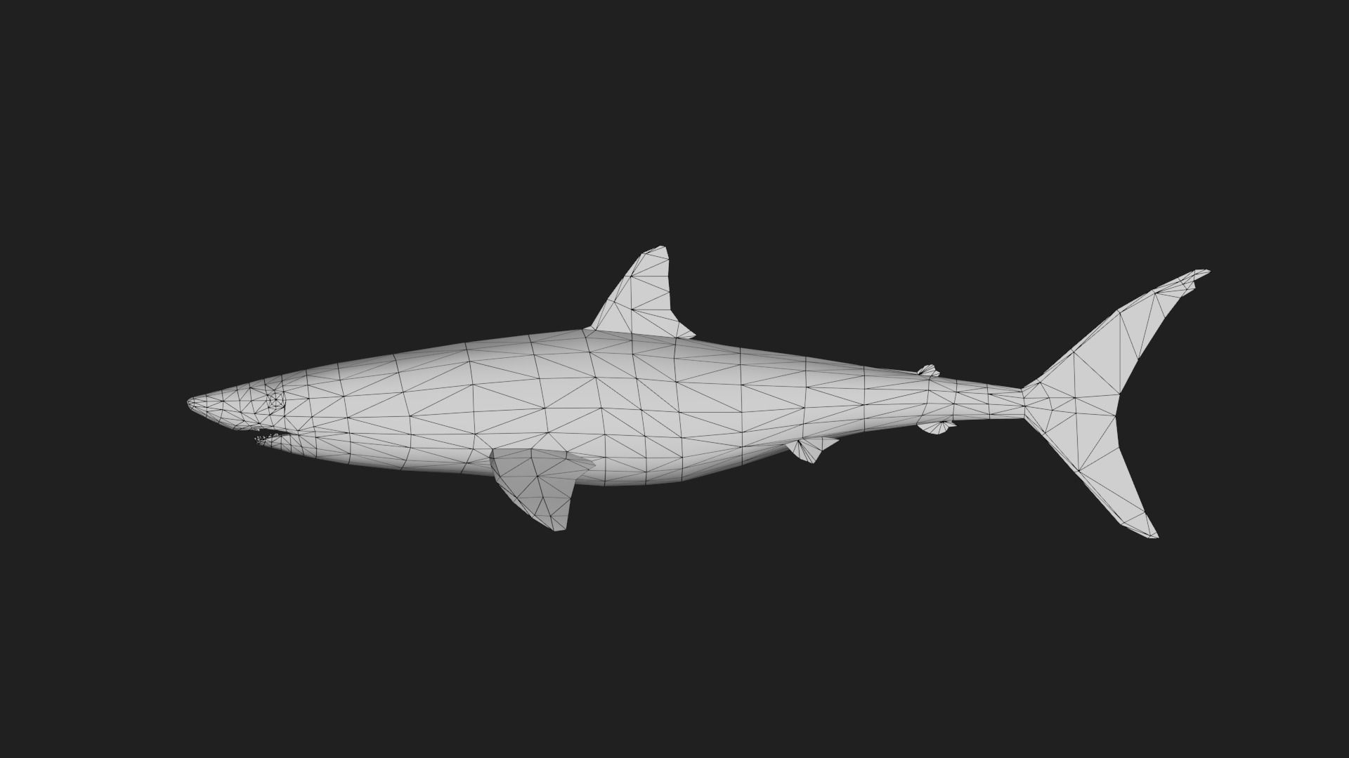 Shortfinmakoshark Low-poly 3D model_1