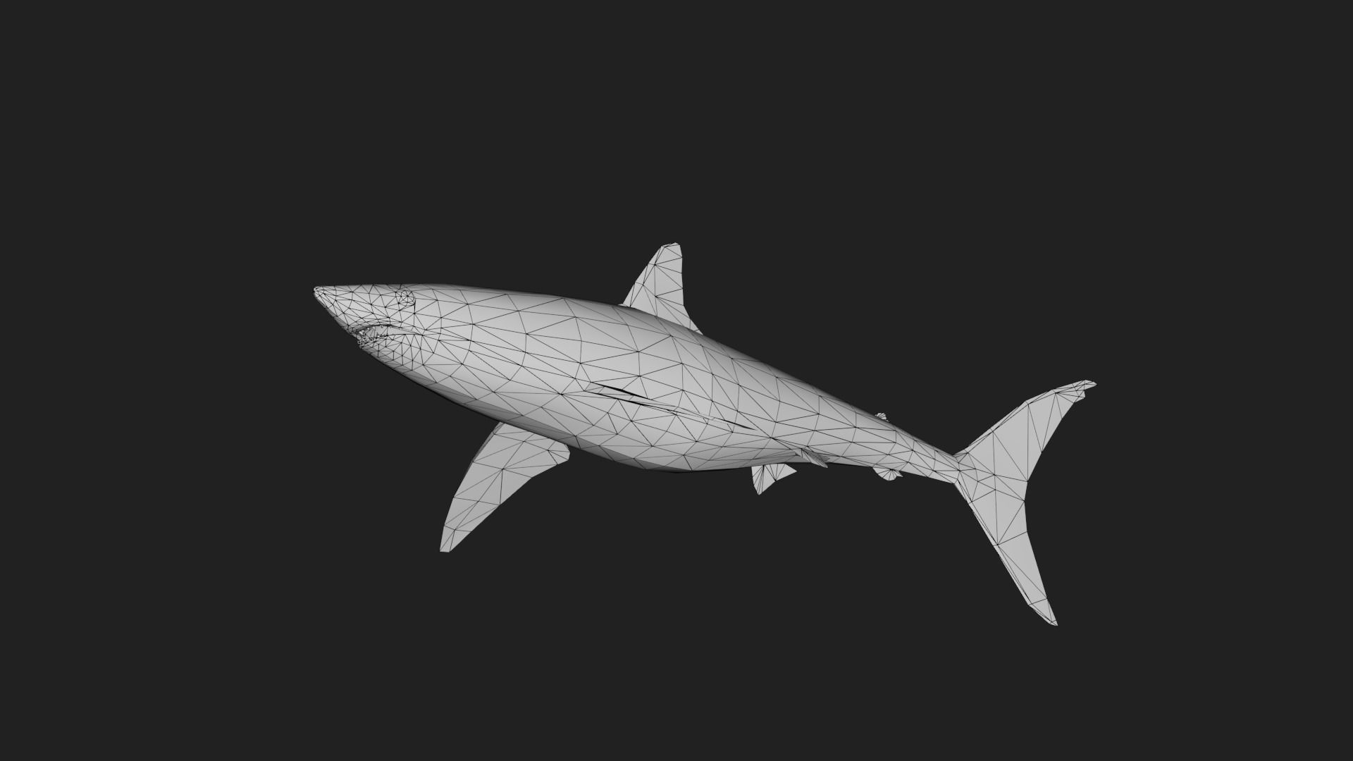 Shortfinmakoshark Low-poly 3D model_5