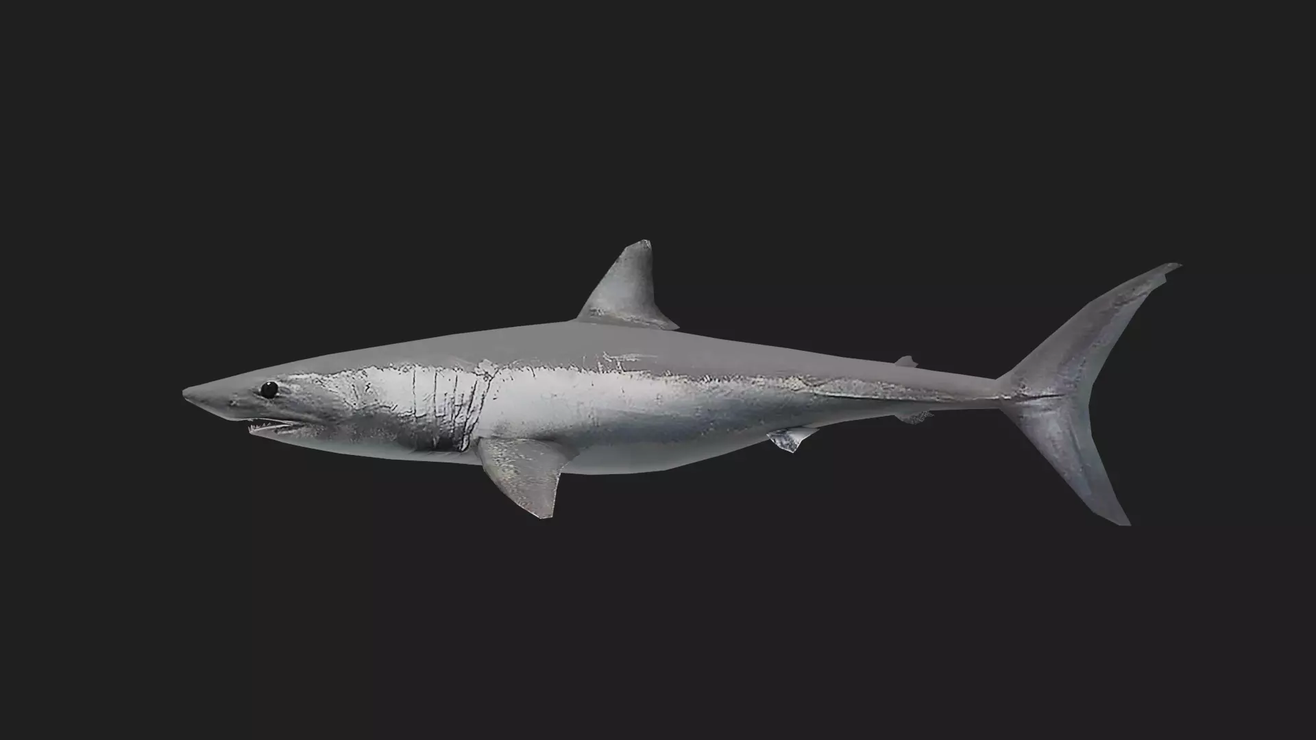 Shortfinmakoshark Low-poly 3D model_0