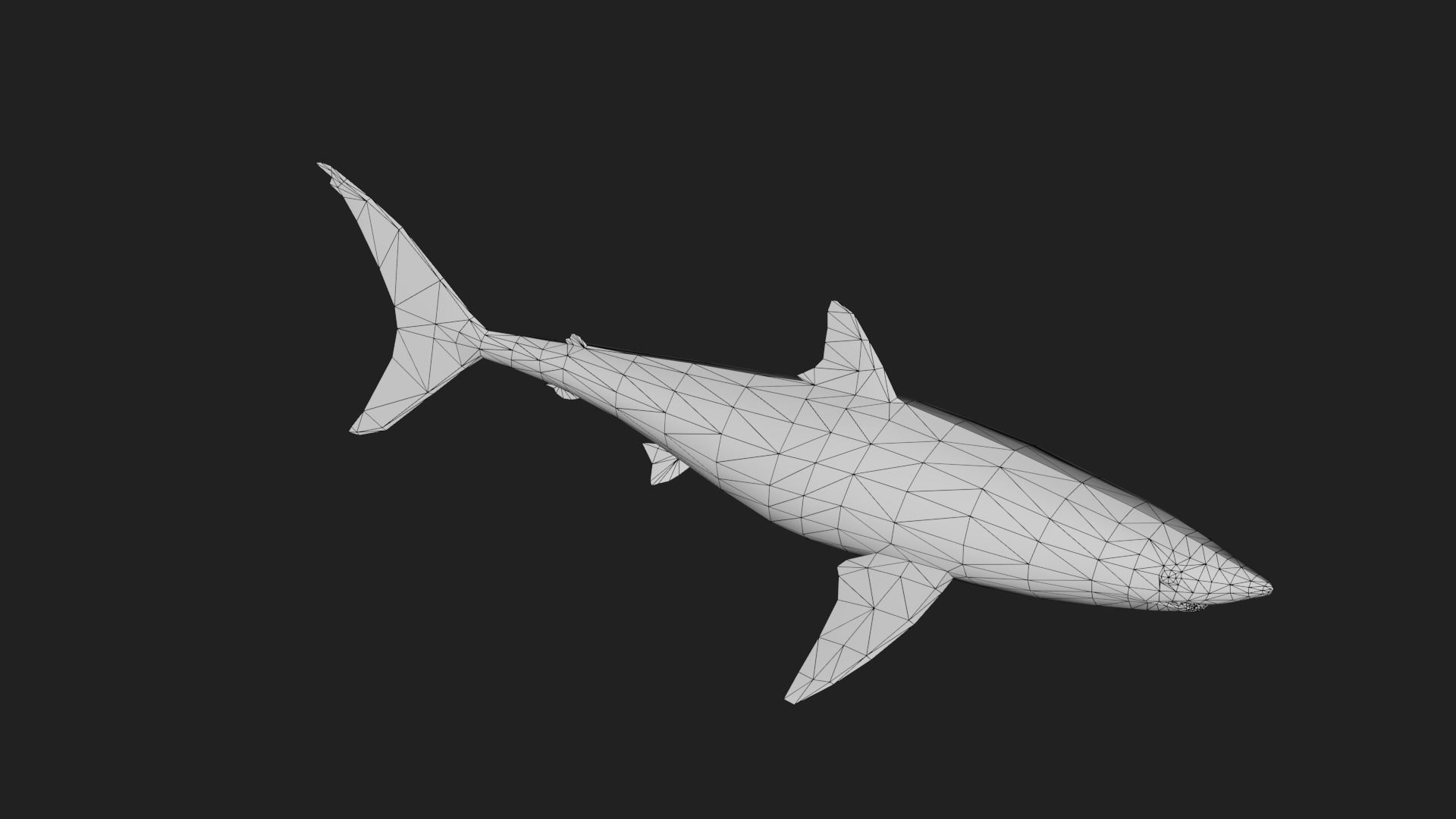 Shortfinmakoshark Low-poly 3D model_3