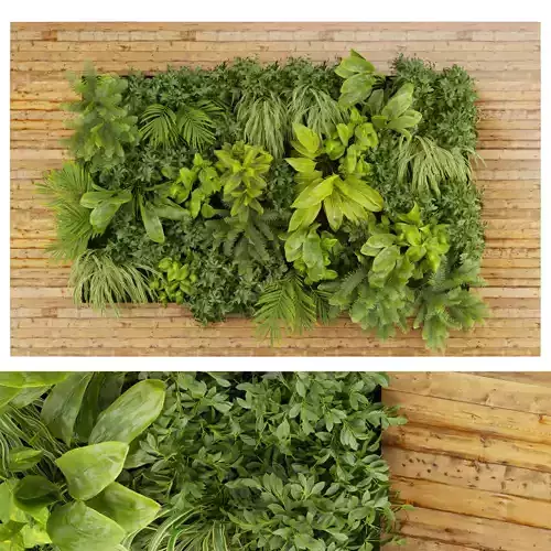 Collection plant vol 503 - garden - leaf - fern - wood