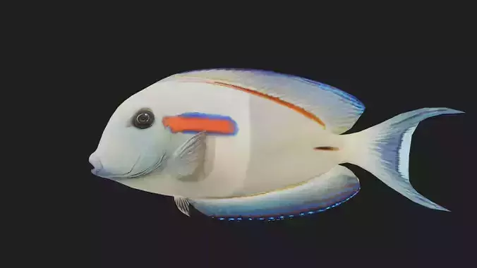 Orangespotsurgeonfish