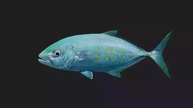 Trevally