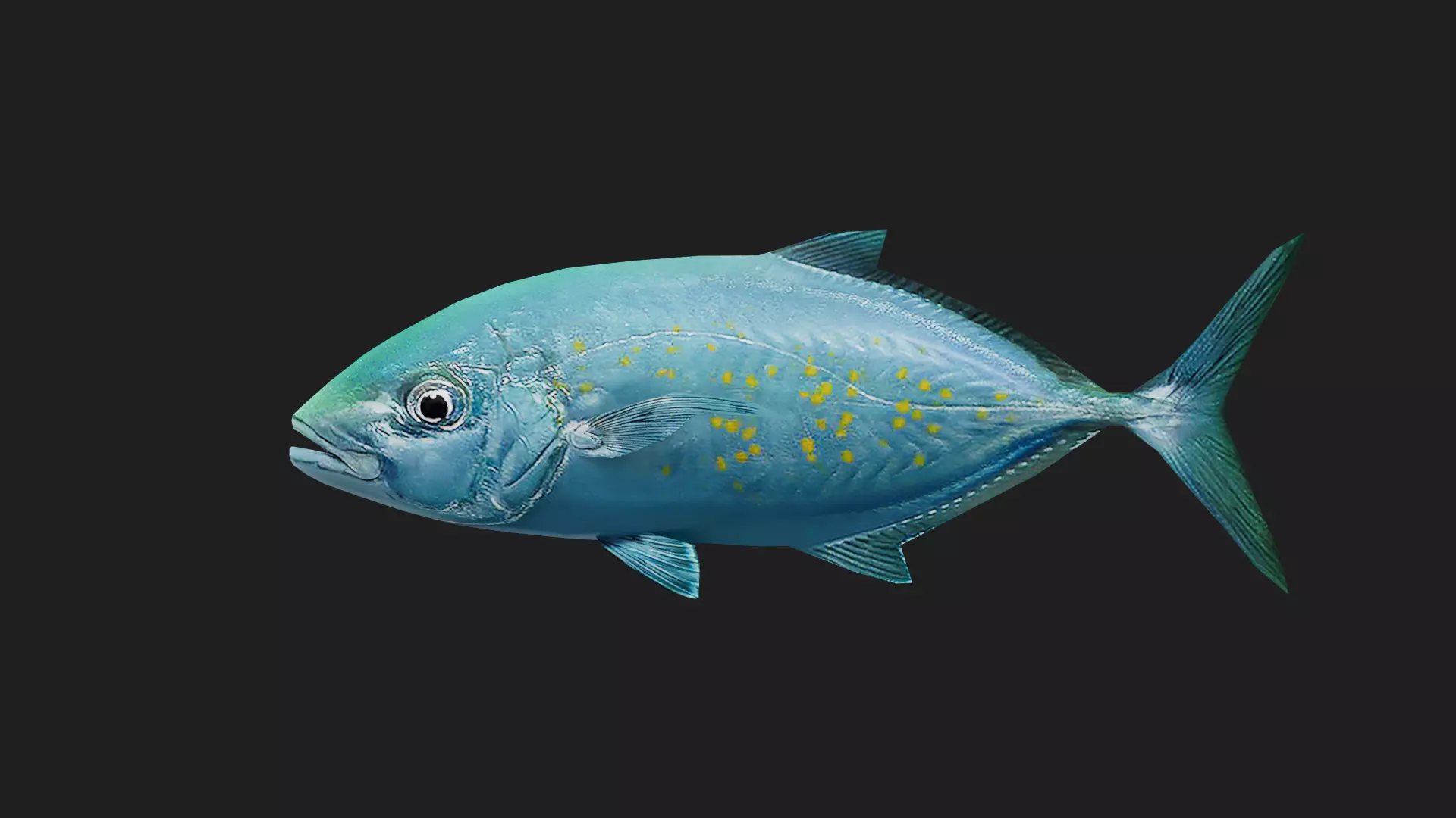 Trevally Low-poly 3D model