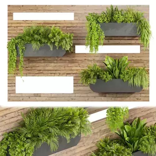 Collection plant vol 505 - garden - leaf - fitowall - wood