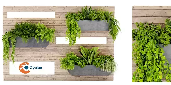 Collection plant vol 505 - blender model 