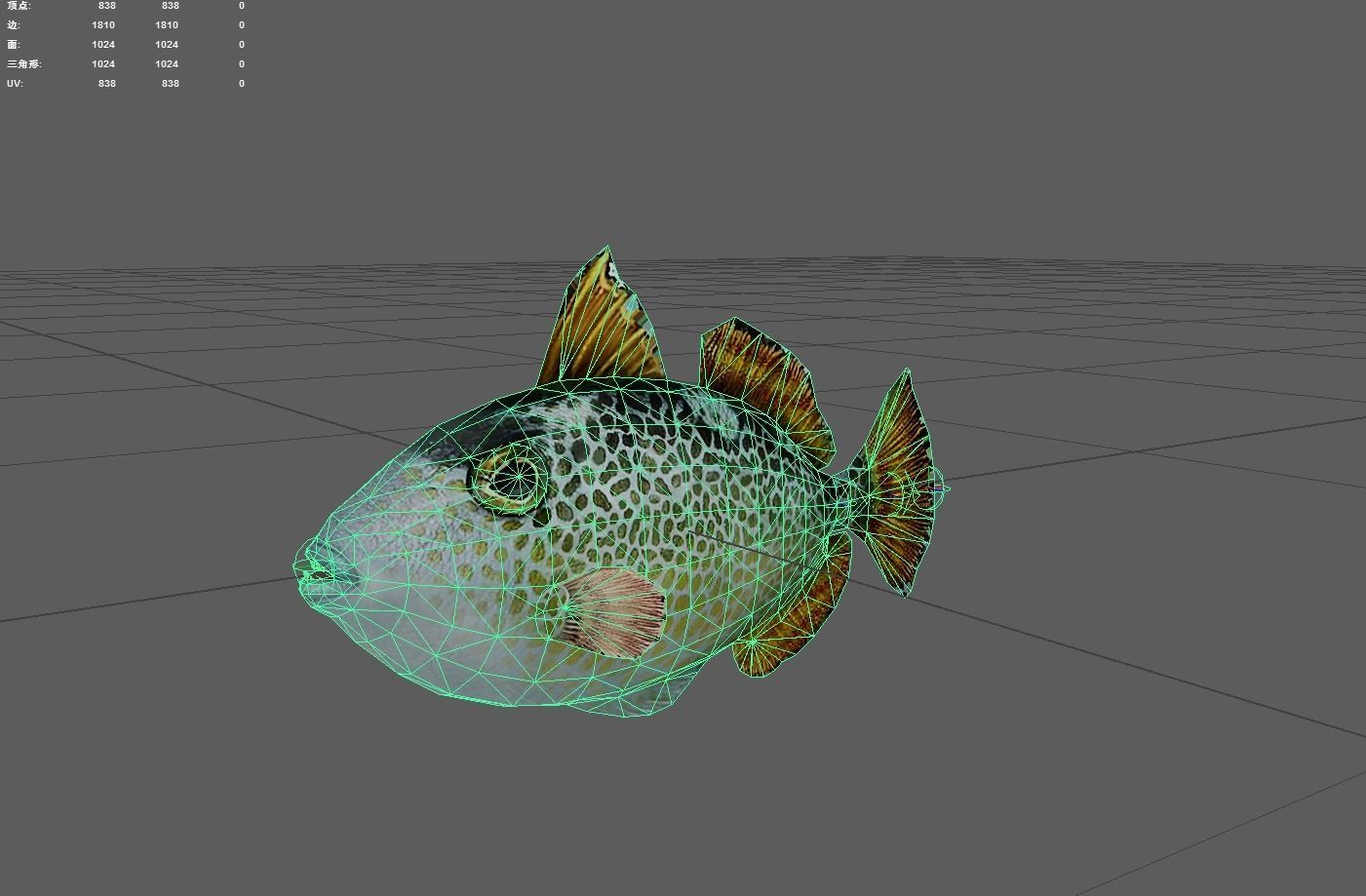 Triggerfish Low-poly 3D model_2