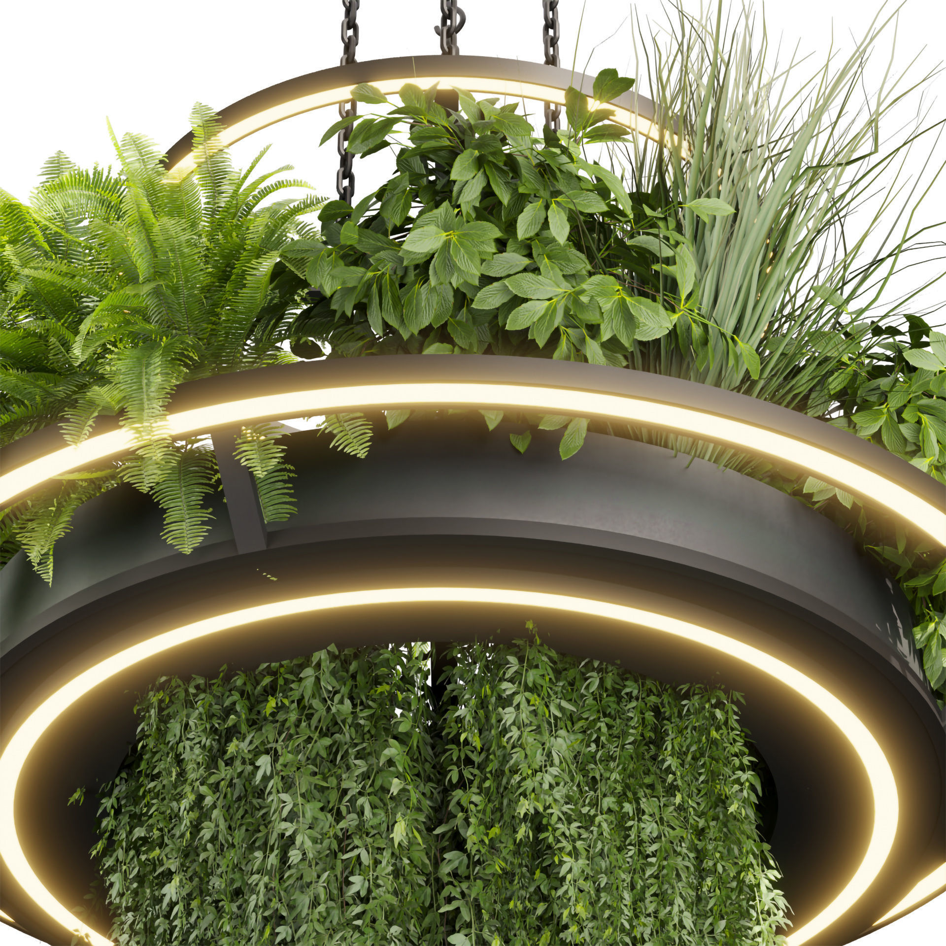 Collection plant vol 508 - chandelier - ampelous - hanging  3D model_3