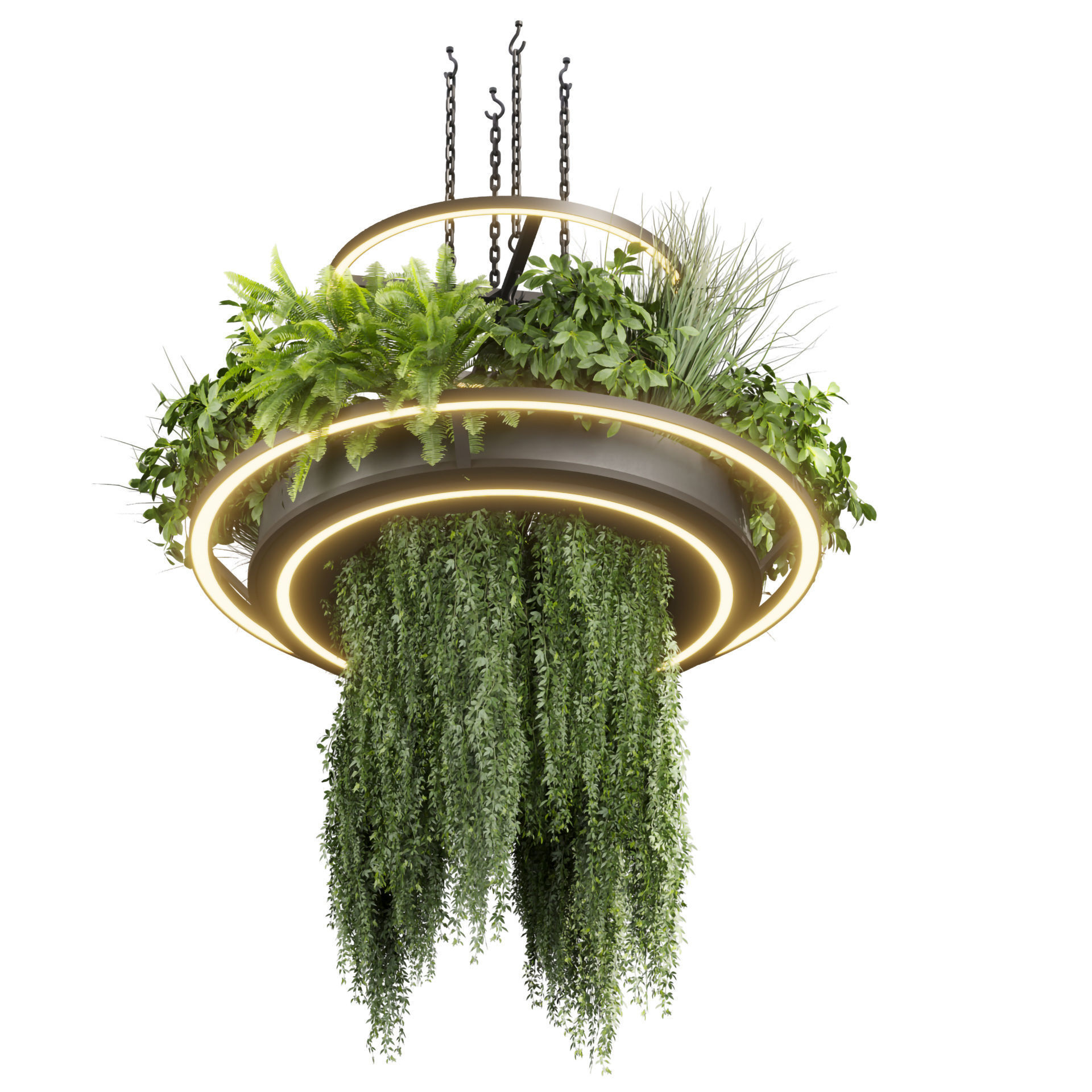 Collection plant vol 508 - chandelier - ampelous - hanging  3D model_4