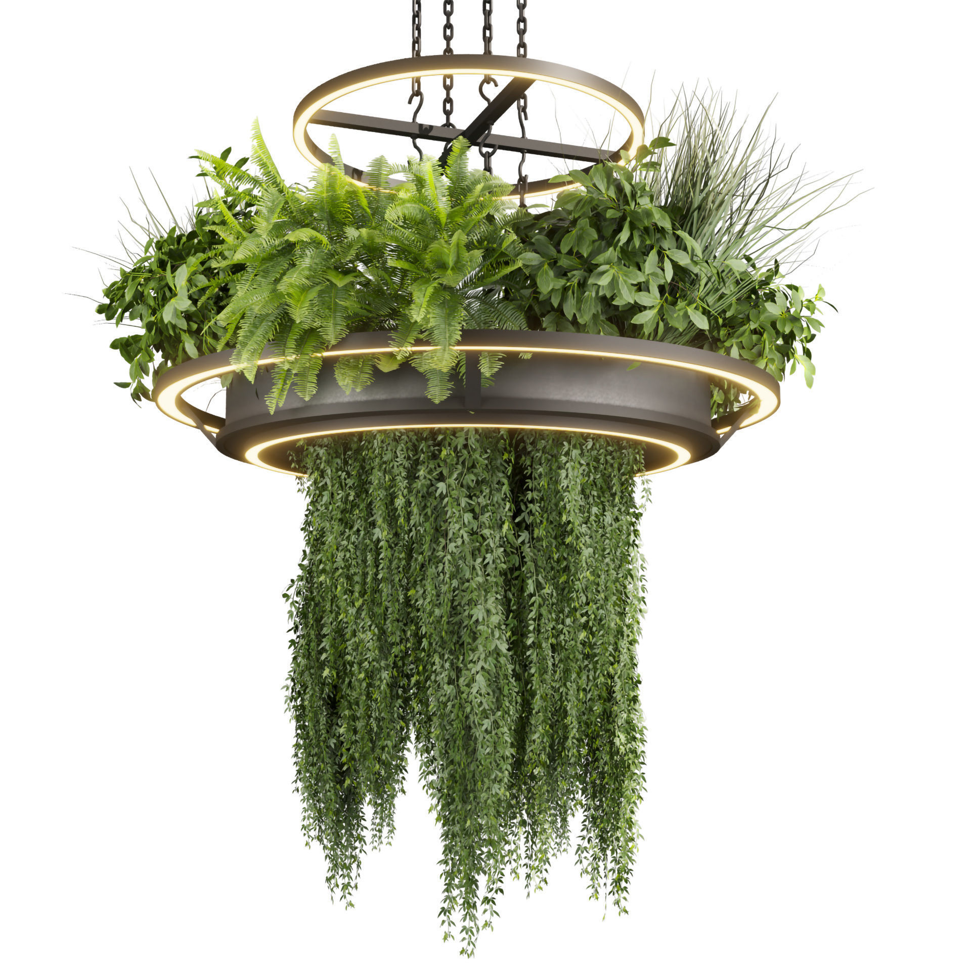 Collection plant vol 508 - chandelier - ampelous - hanging  3D model_1