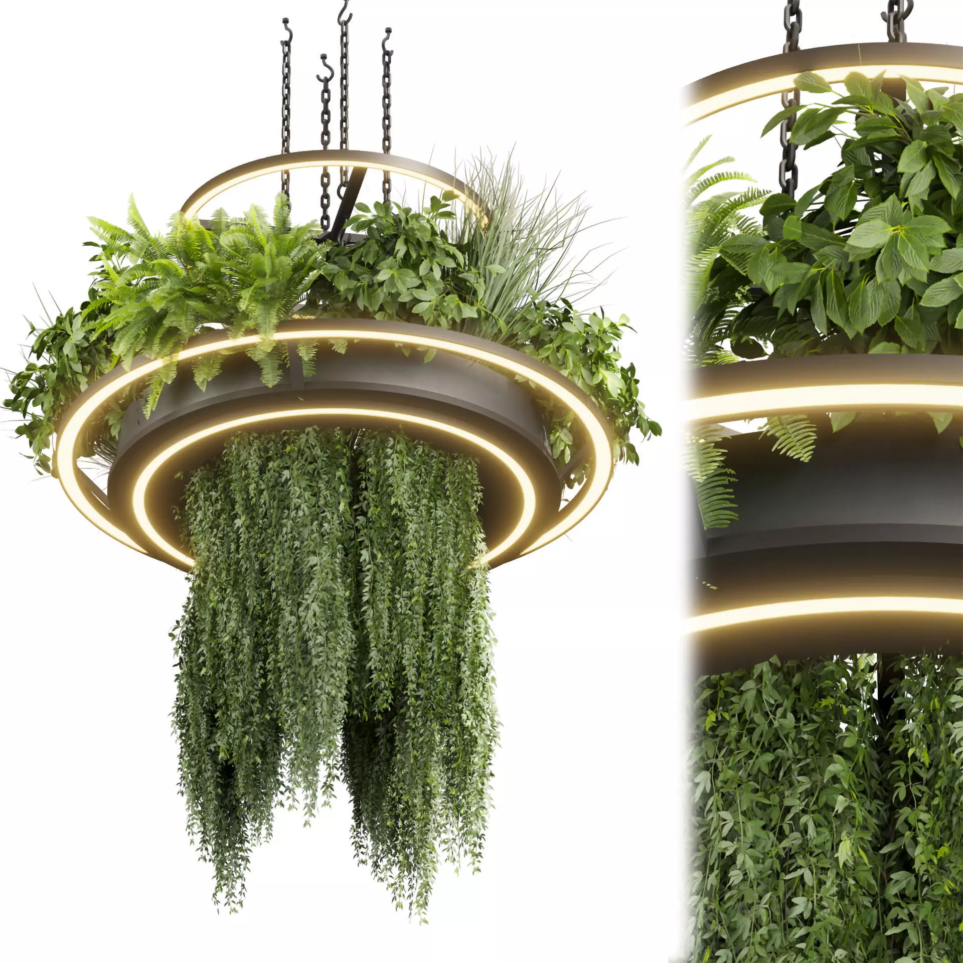 Collection plant vol 508 - chandelier - ampelous - hanging  3D model_0