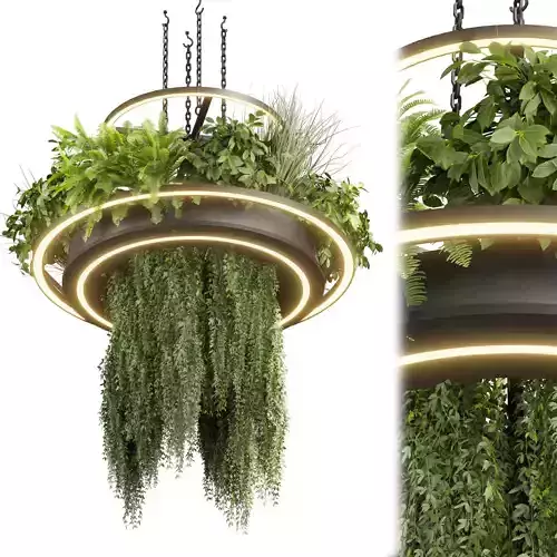 Collection plant vol 508 - chandelier - ampelous - hanging  3D model