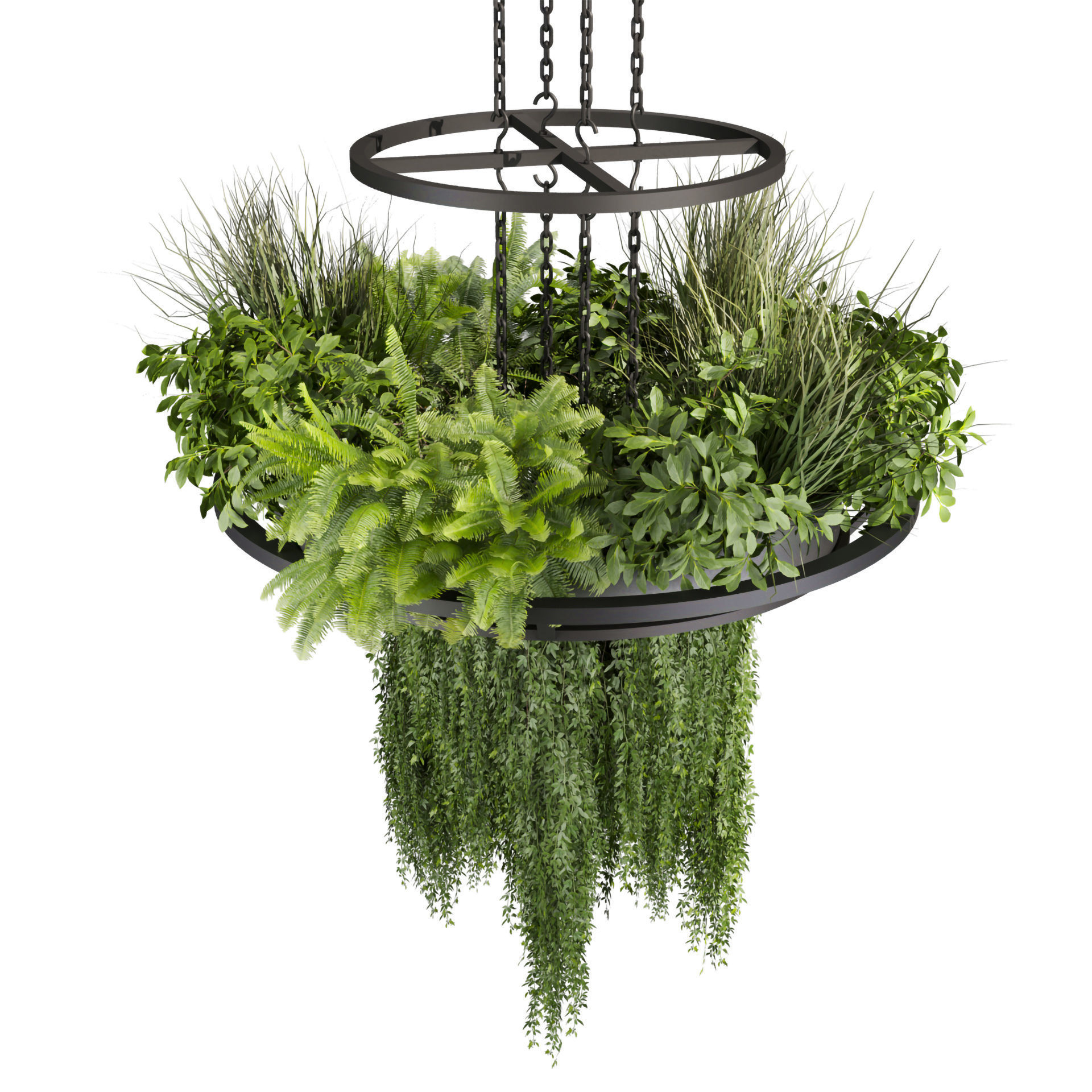 Collection plant vol 508 - chandelier - ampelous - hanging  3D model_2