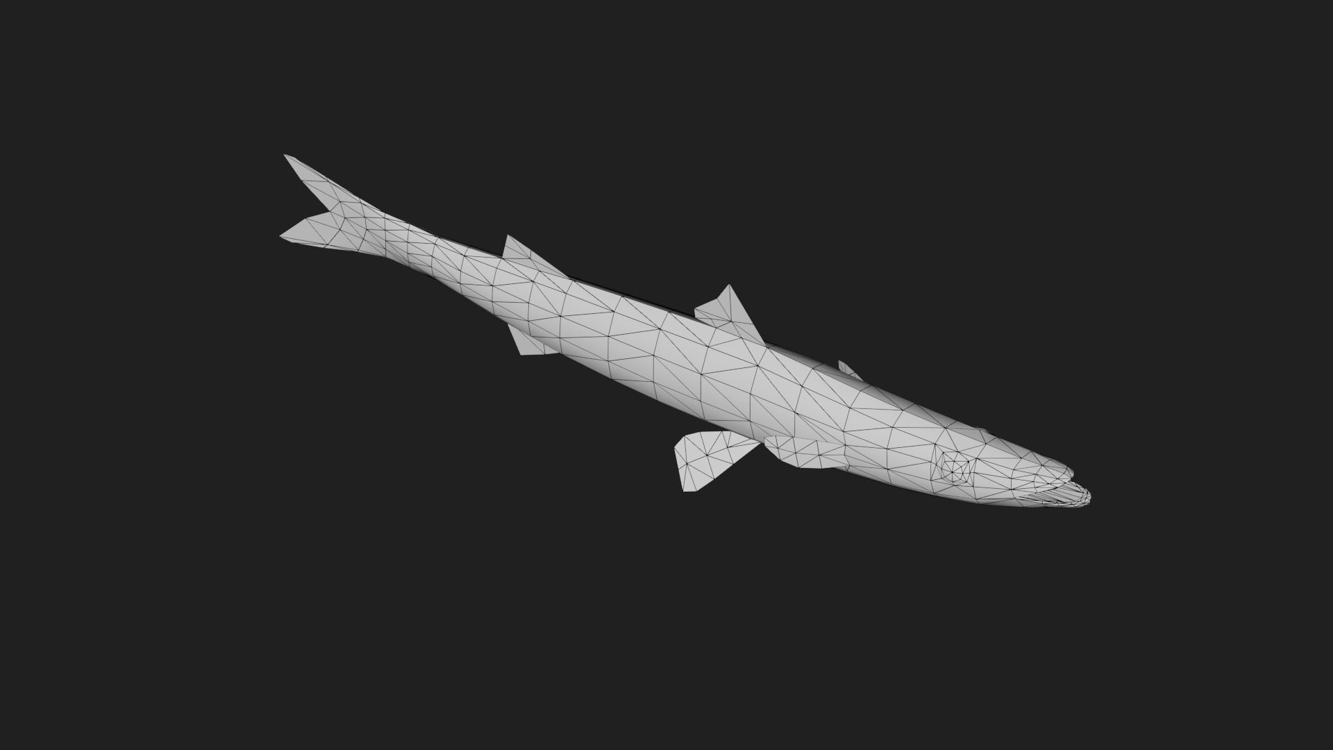 Bicuda Low-poly 3D model_5